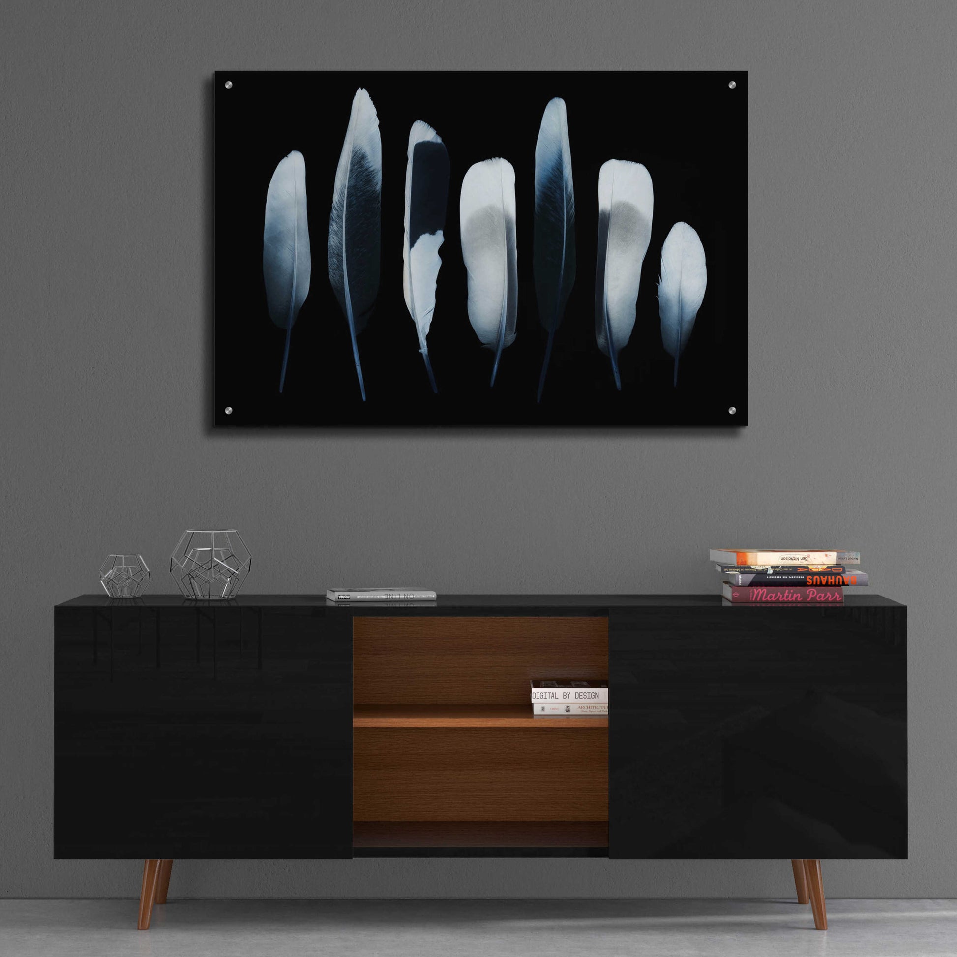 Epic Art 'Feathers' by Incado, Acrylic Glass Wall Art,36x24