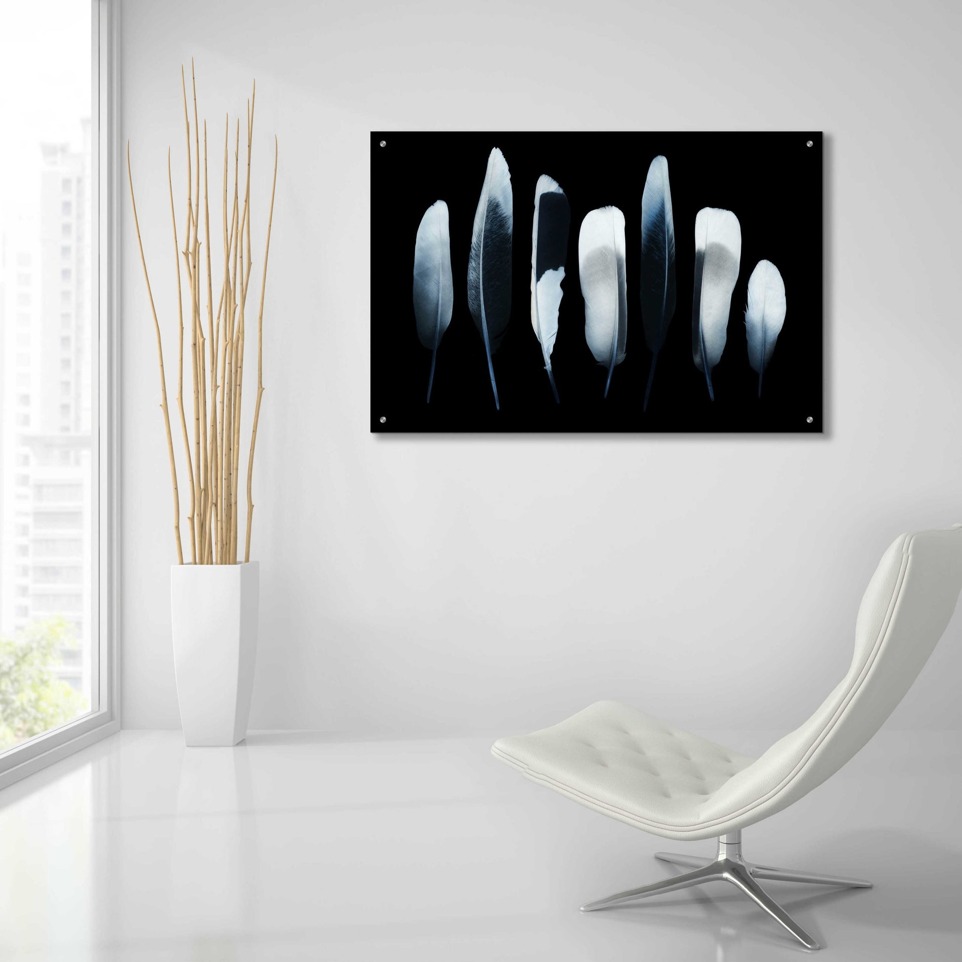 Epic Art 'Feathers' by Incado, Acrylic Glass Wall Art,36x24