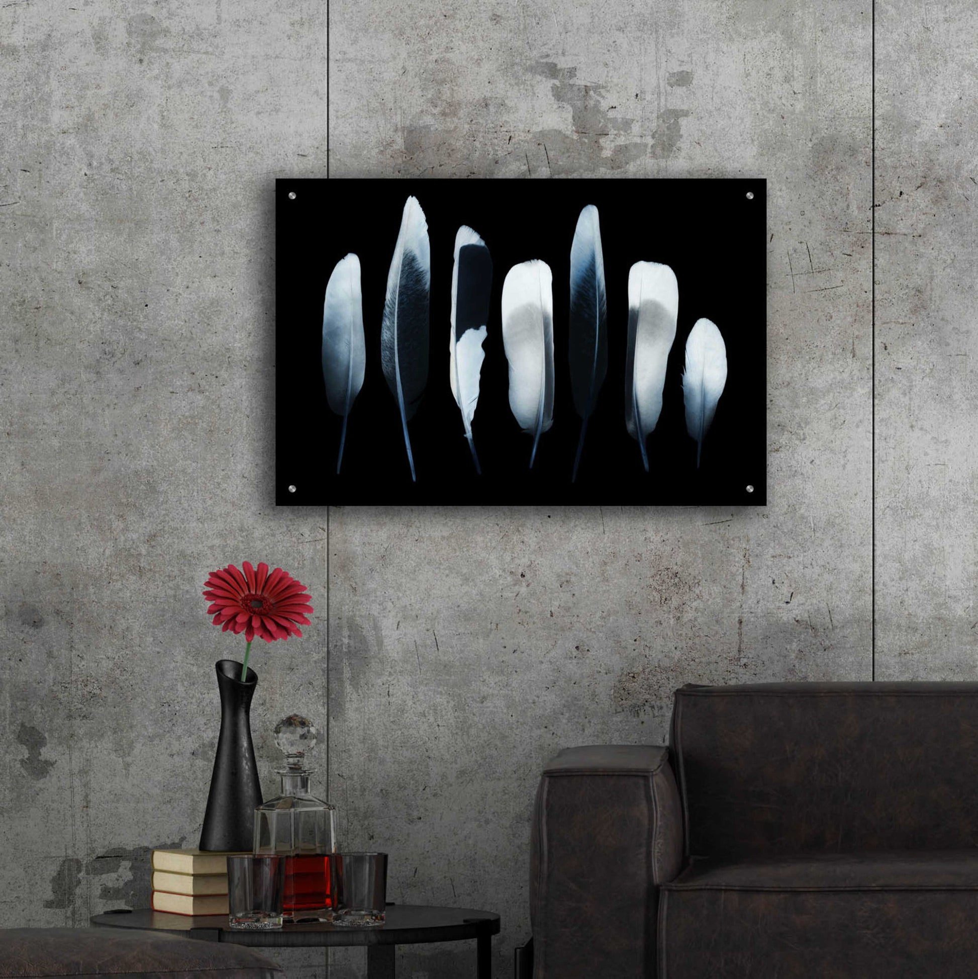 Epic Art 'Feathers' by Incado, Acrylic Glass Wall Art,36x24