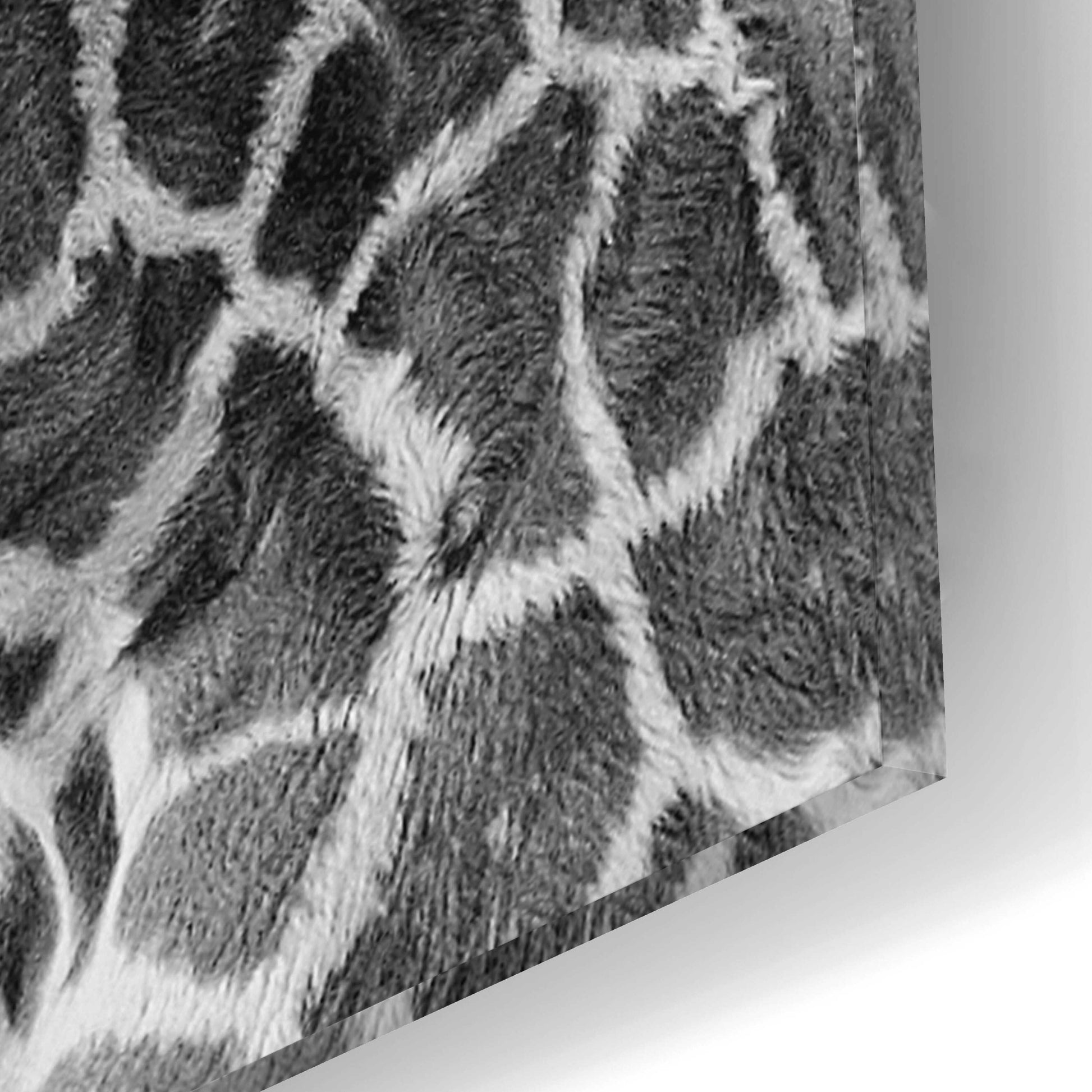 Epic Art 'First Love - Giraffe' by Incado, Acrylic Glass Wall Art,12x16