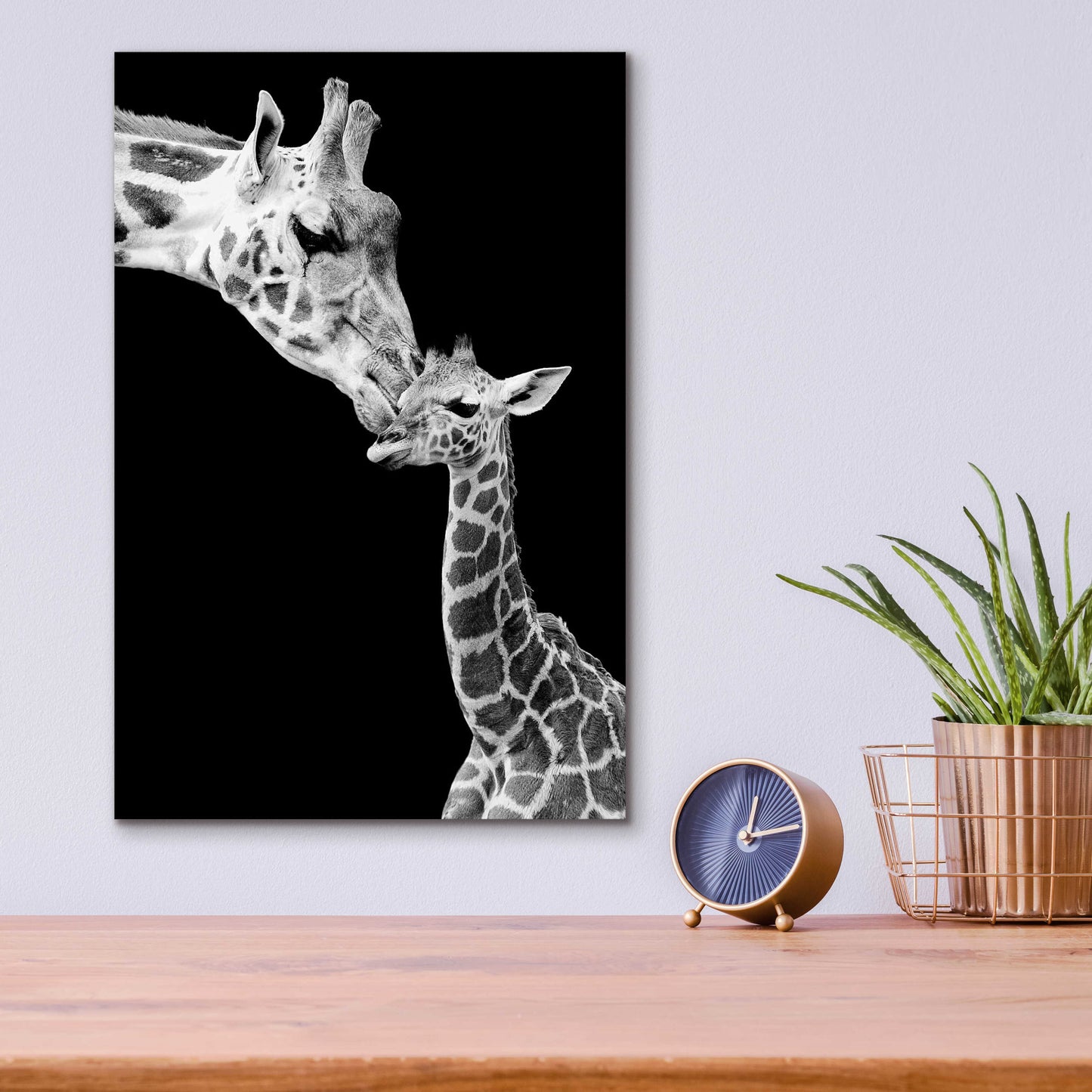 Epic Art 'First Love - Giraffe' by Incado, Acrylic Glass Wall Art,12x16