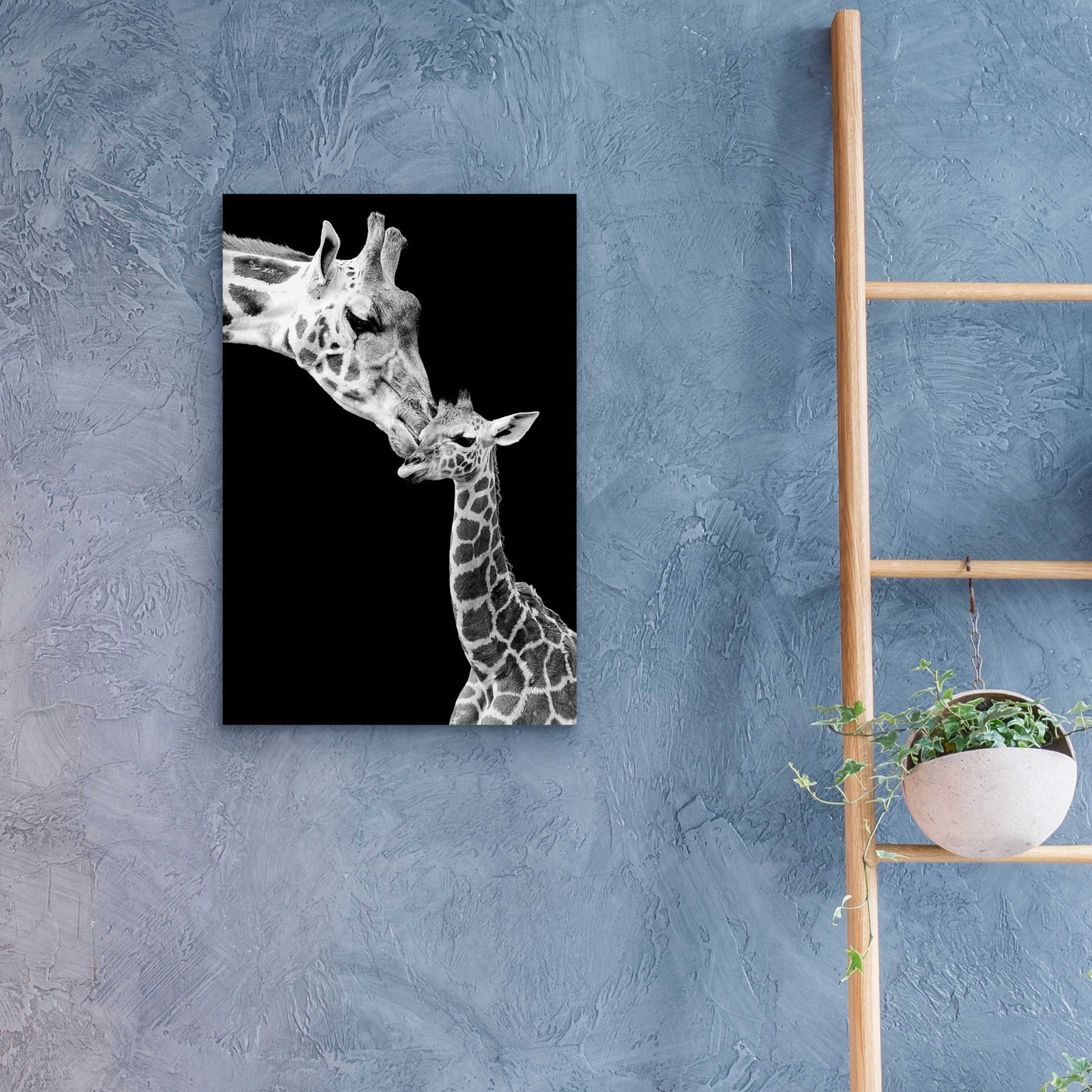 Epic Art 'First Love - Giraffe' by Incado, Acrylic Glass Wall Art,16x24