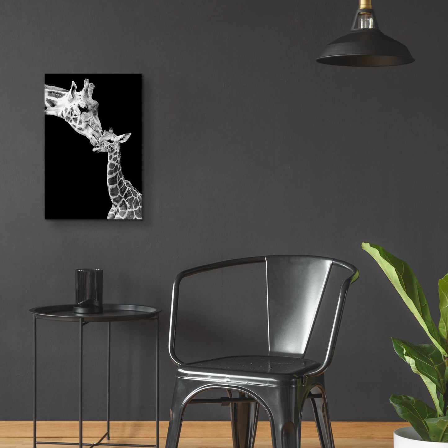 Epic Art 'First Love - Giraffe' by Incado, Acrylic Glass Wall Art,16x24