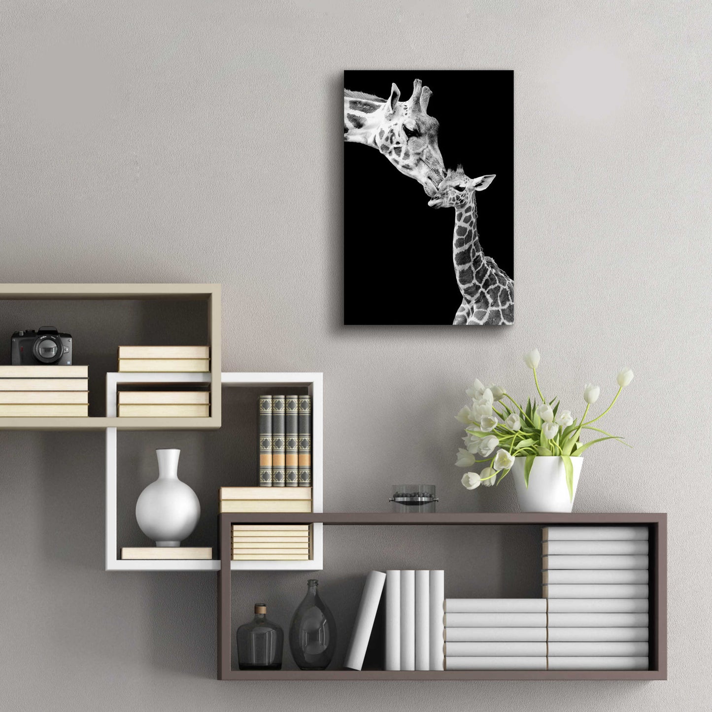 Epic Art 'First Love - Giraffe' by Incado, Acrylic Glass Wall Art,16x24