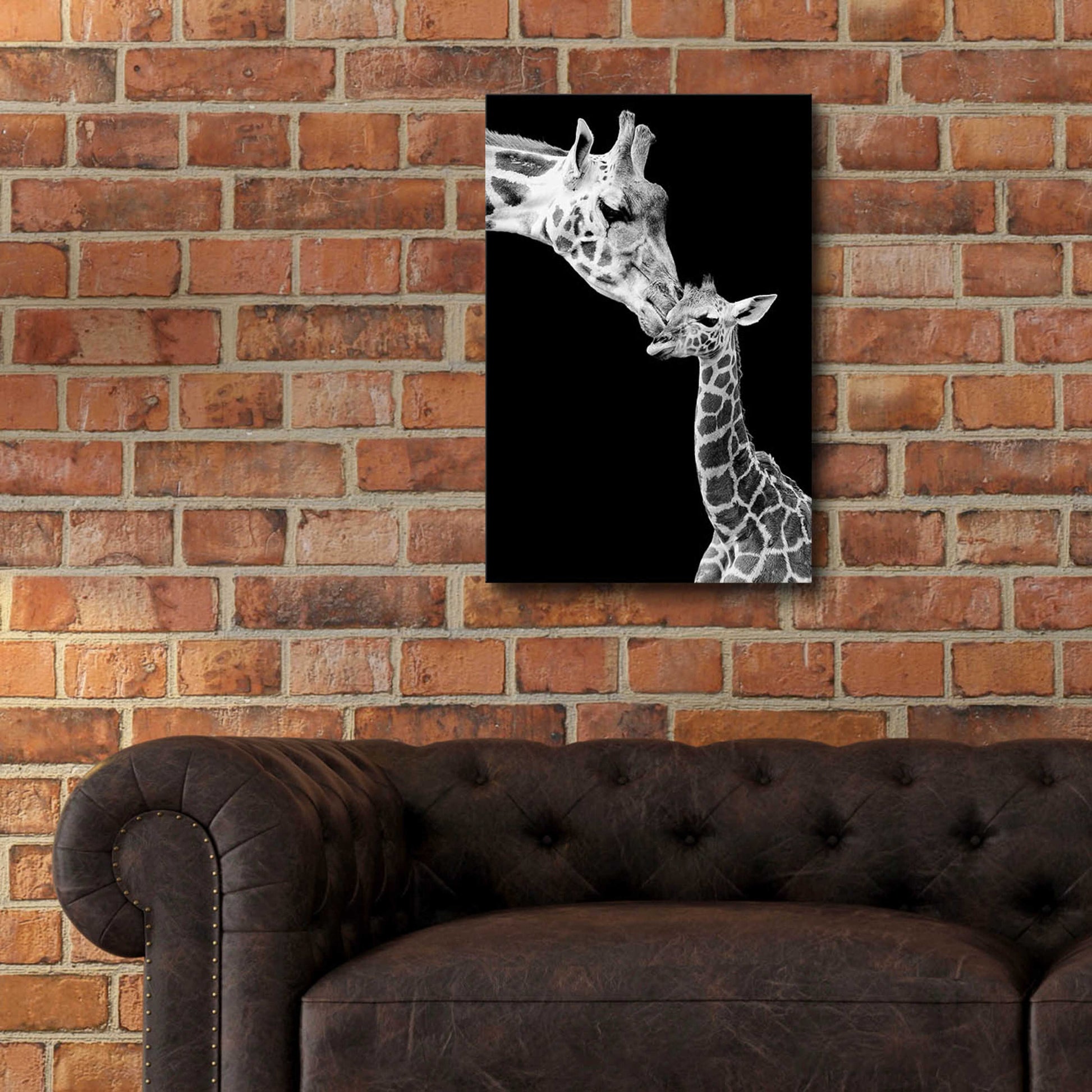 Epic Art 'First Love - Giraffe' by Incado, Acrylic Glass Wall Art,16x24