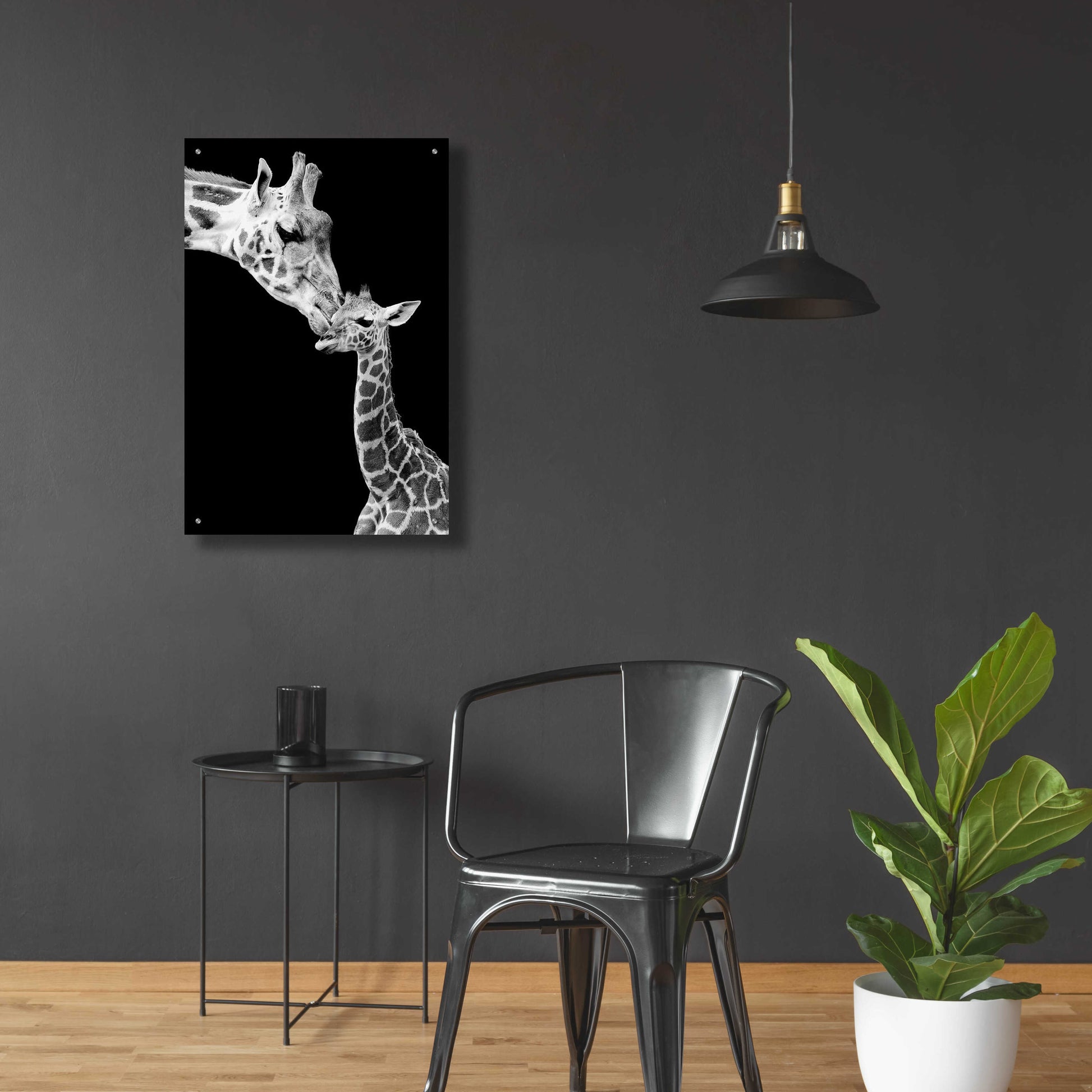 Epic Art 'First Love - Giraffe' by Incado, Acrylic Glass Wall Art,24x36