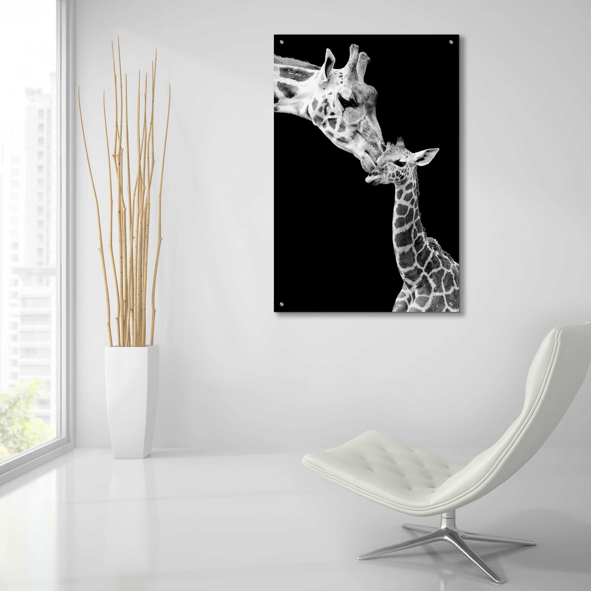 Epic Art 'First Love - Giraffe' by Incado, Acrylic Glass Wall Art,24x36