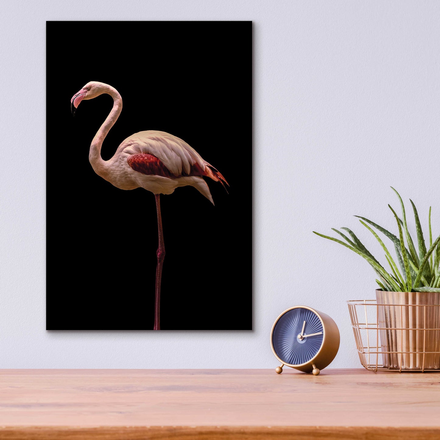 Epic Art 'Flamingo' by Incado, Acrylic Glass Wall Art,12x16