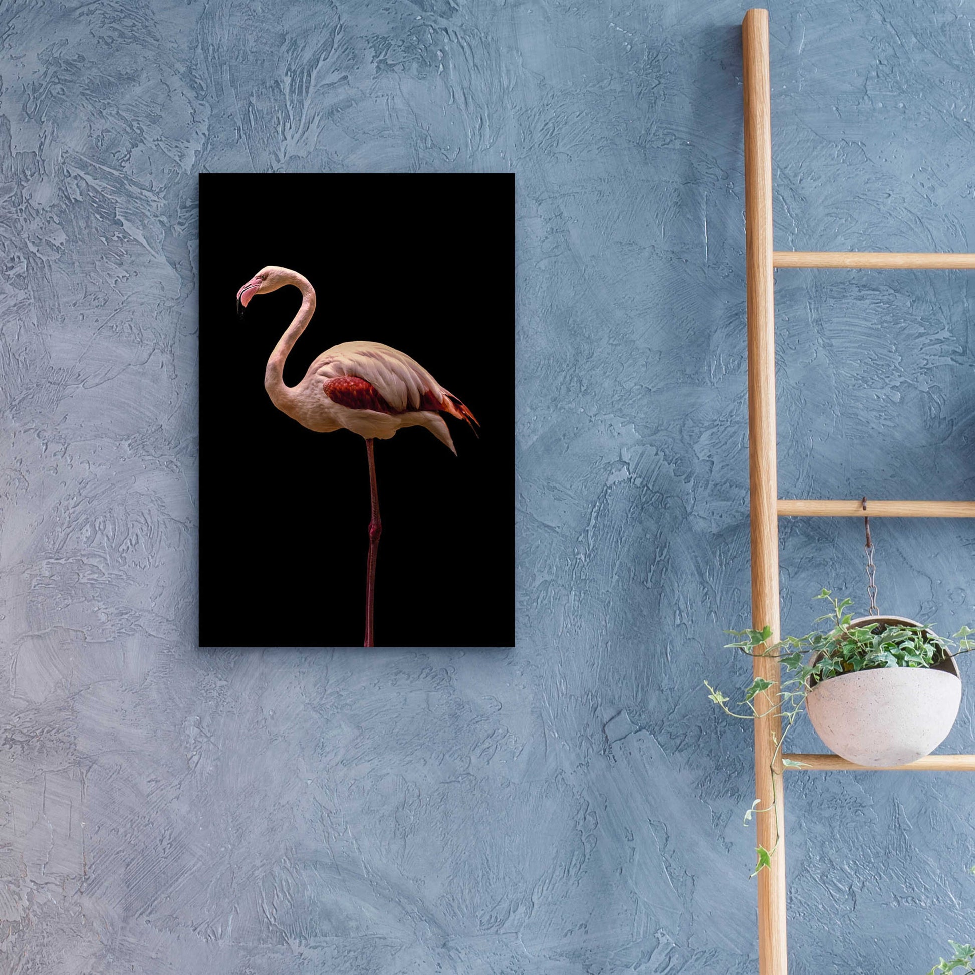 Epic Art 'Flamingo' by Incado, Acrylic Glass Wall Art,16x24