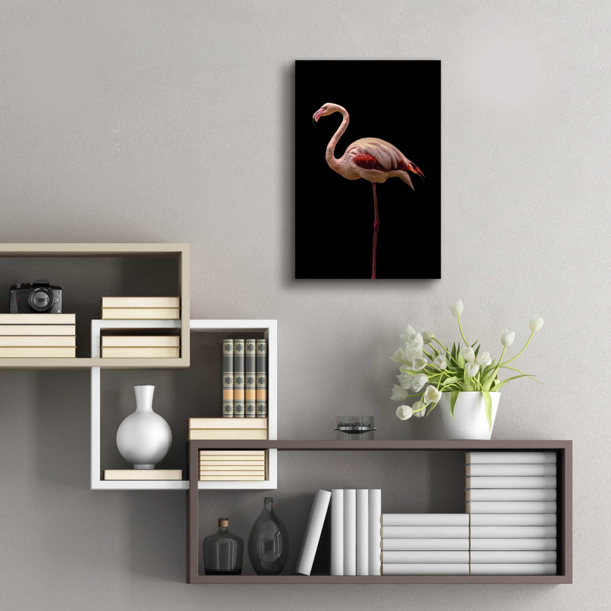 Epic Art 'Flamingo' by Incado, Acrylic Glass Wall Art,16x24