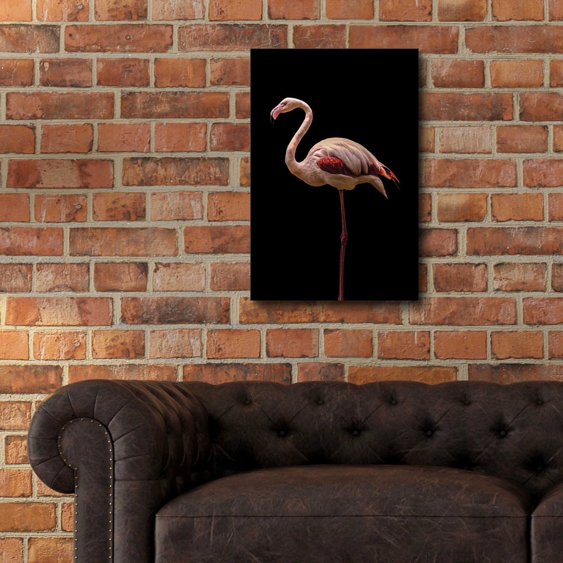 Epic Art 'Flamingo' by Incado, Acrylic Glass Wall Art,16x24