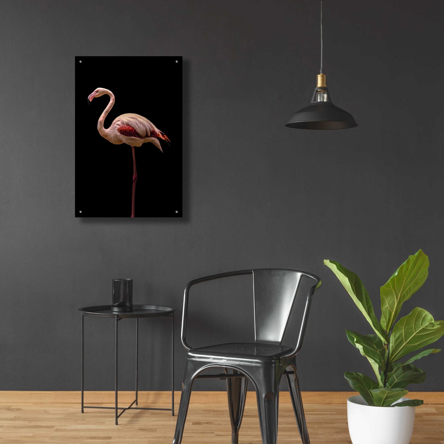 Epic Art 'Flamingo' by Incado, Acrylic Glass Wall Art,24x36