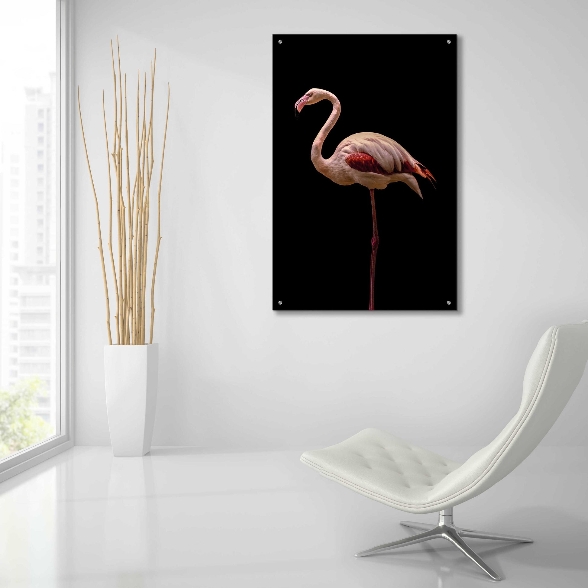 Epic Art 'Flamingo' by Incado, Acrylic Glass Wall Art,24x36