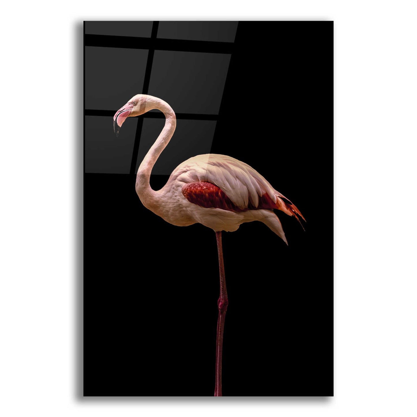 Epic Art 'Flamingo' by Incado, Acrylic Glass Wall Art