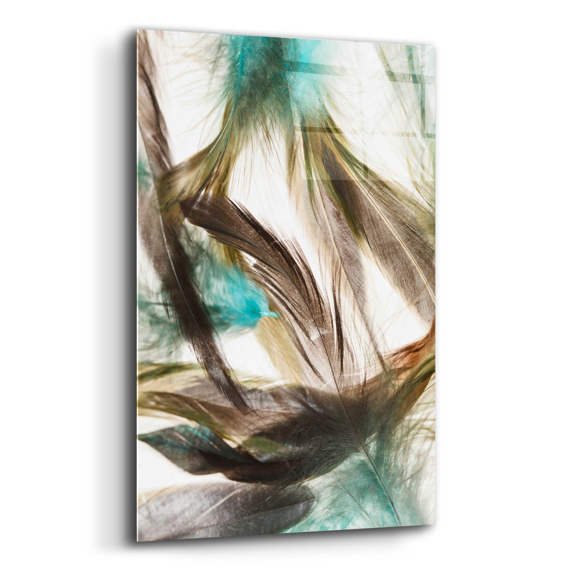 Epic Art 'Floating Feathers' by Incado, Acrylic Glass Wall Art,12x16