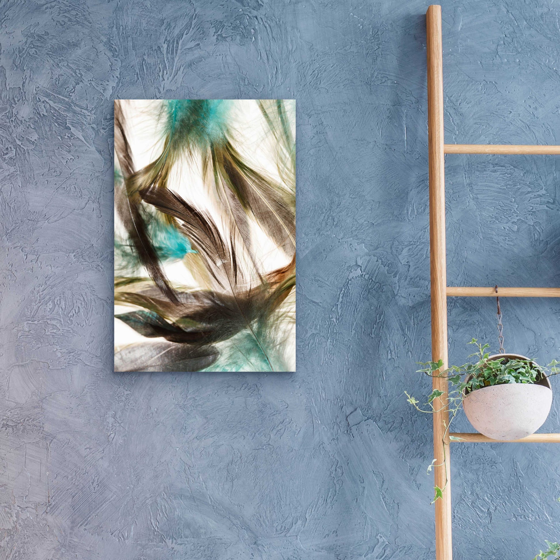 Epic Art 'Floating Feathers' by Incado, Acrylic Glass Wall Art,16x24