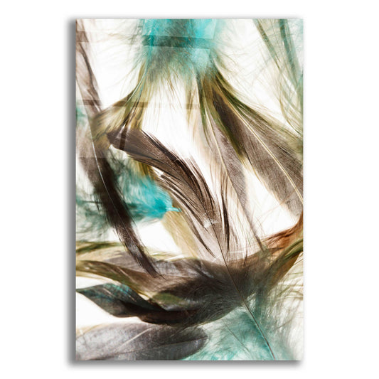 Epic Art 'Floating Feathers' by Incado, Acrylic Glass Wall Art