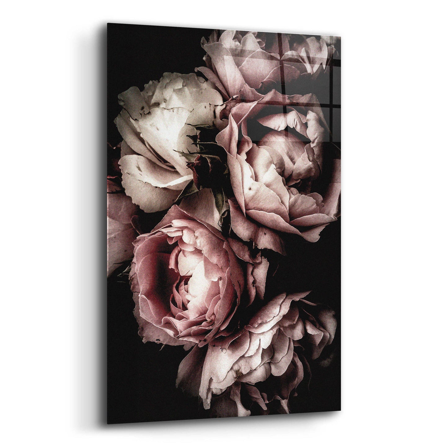 Epic Art 'Floral 30' by Incado, Acrylic Glass Wall Art,12x16