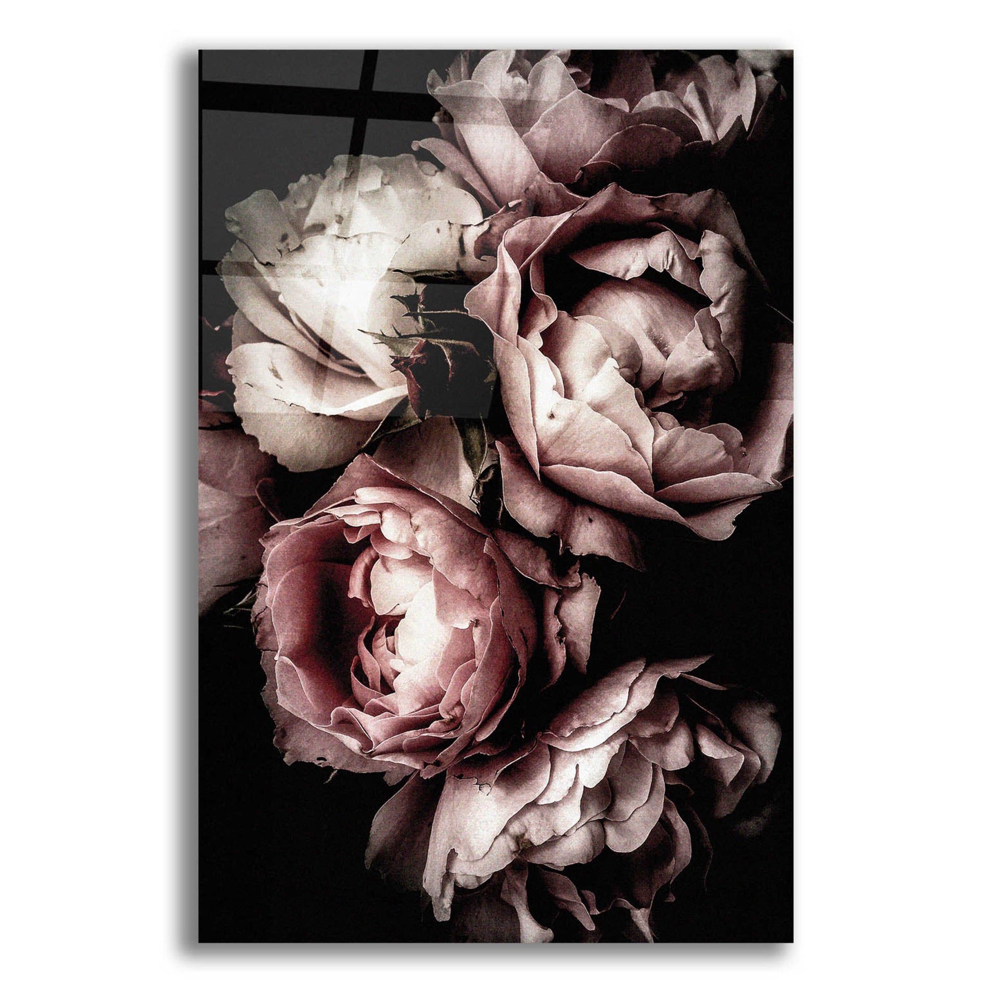 Epic Art 'Floral 30' by Incado, Acrylic Glass Wall Art