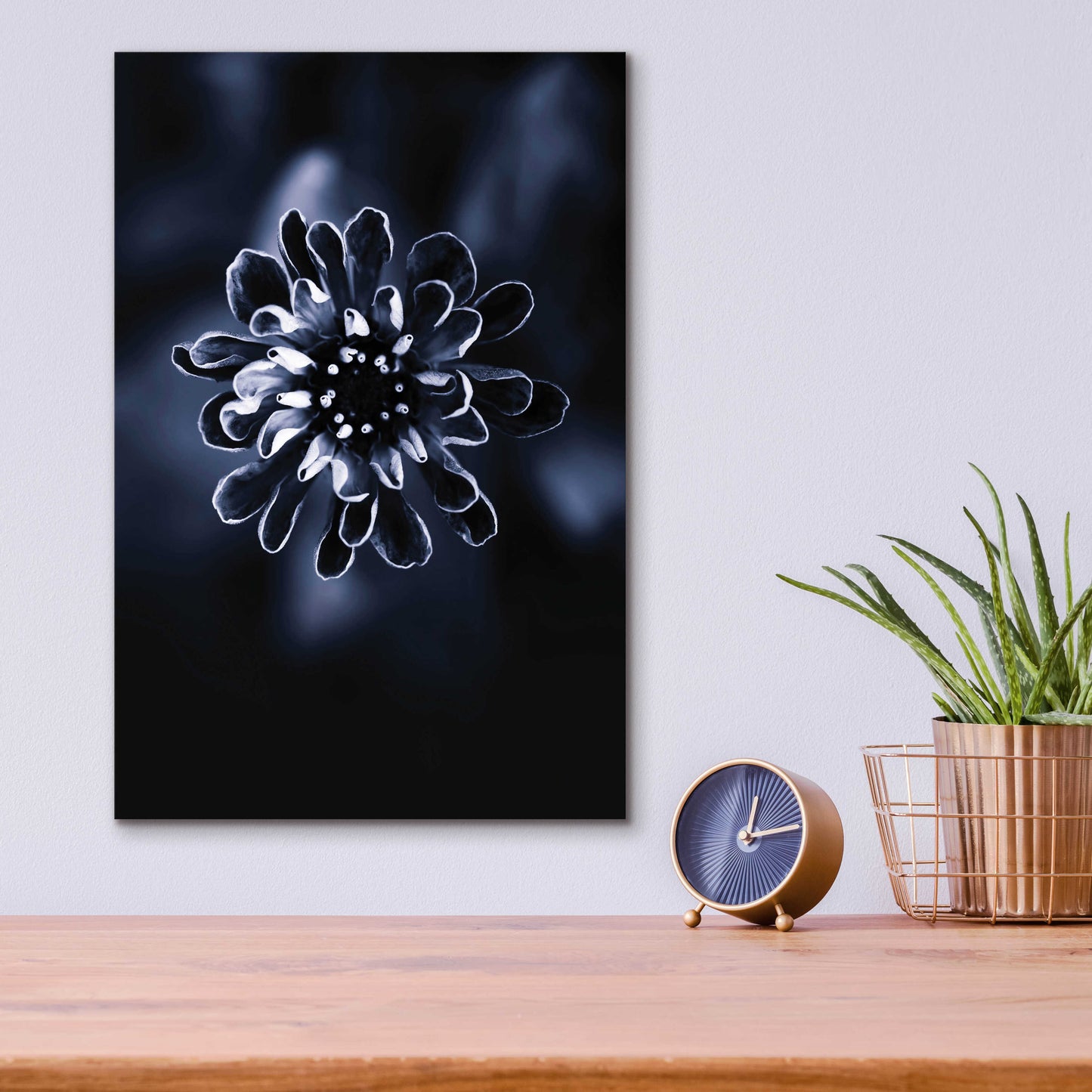 Epic Art 'Flower Bloom 2' by Incado, Acrylic Glass Wall Art,12x16