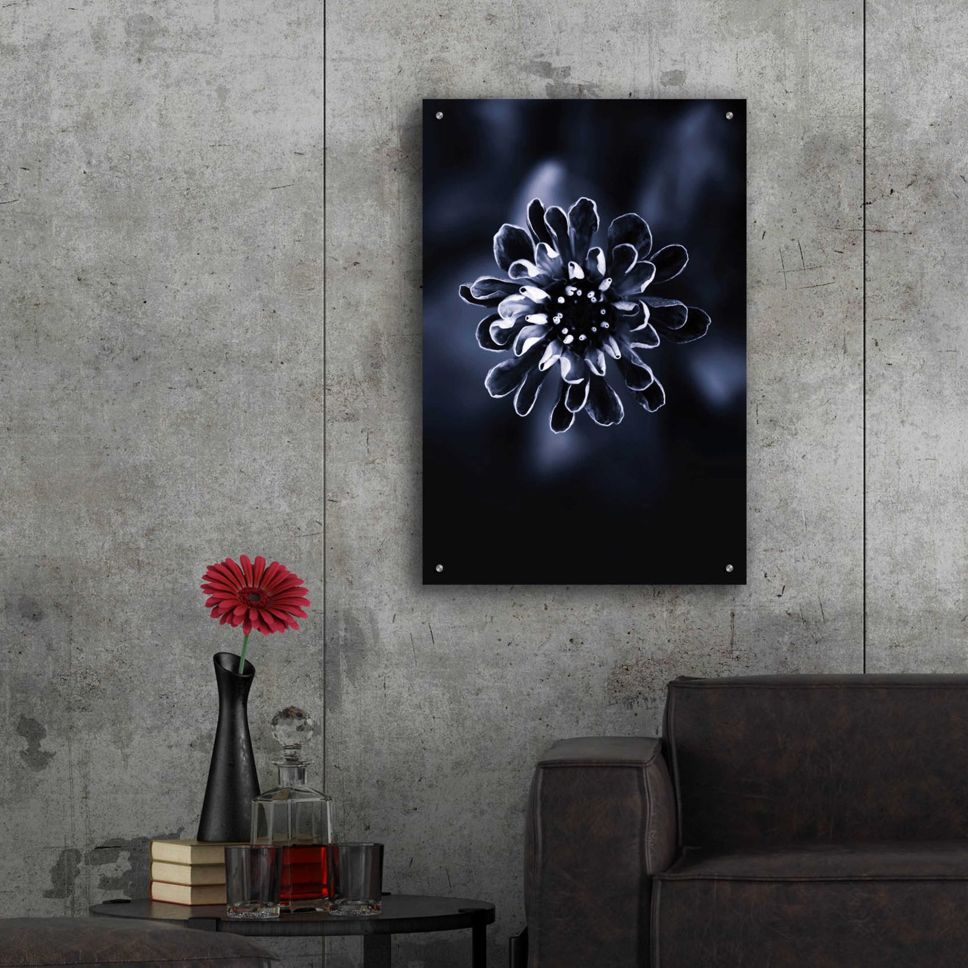 Epic Art 'Flower Bloom 2' by Incado, Acrylic Glass Wall Art,24x36