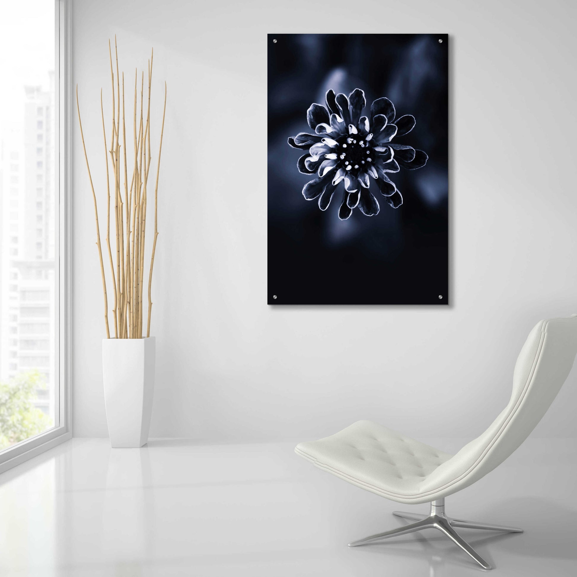 Epic Art 'Flower Bloom 2' by Incado, Acrylic Glass Wall Art,24x36