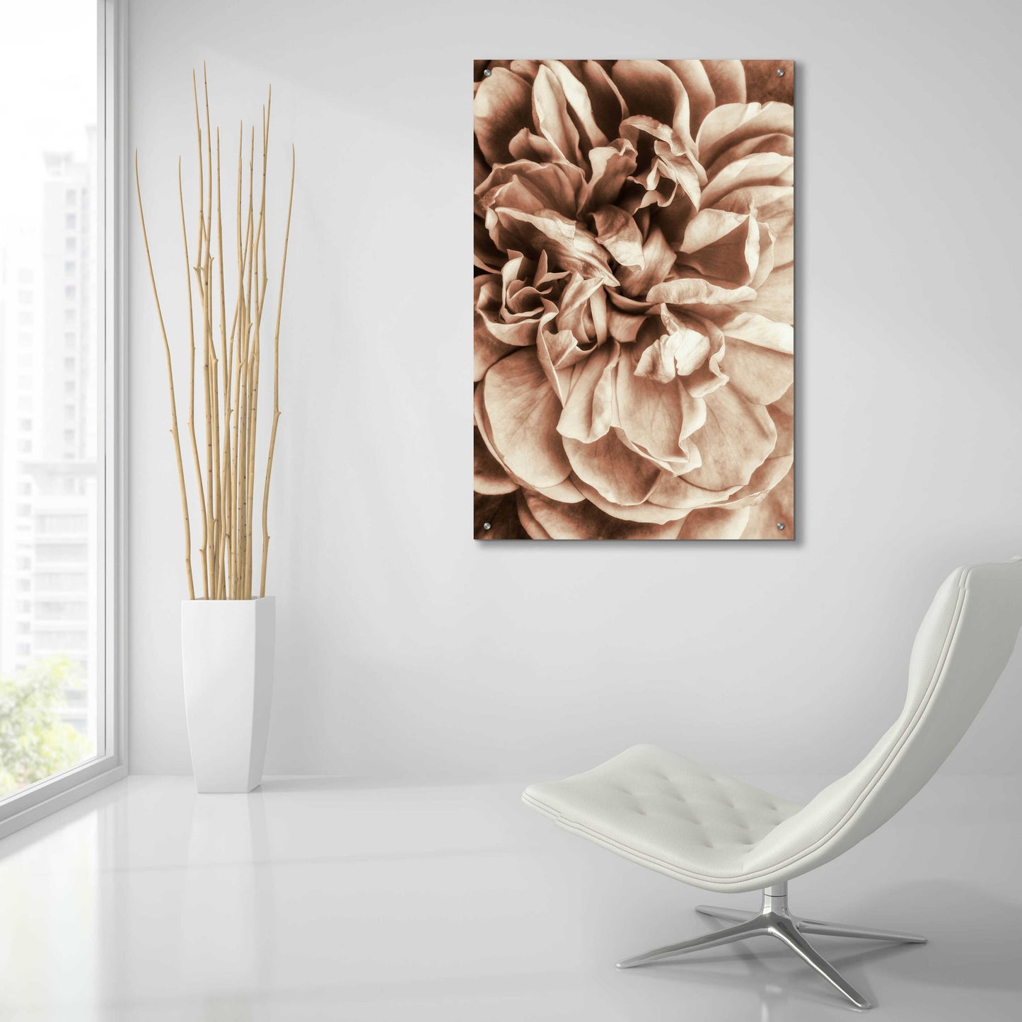 Epic Art 'Flower Bloom 3' by Incado, Acrylic Glass Wall Art,24x36