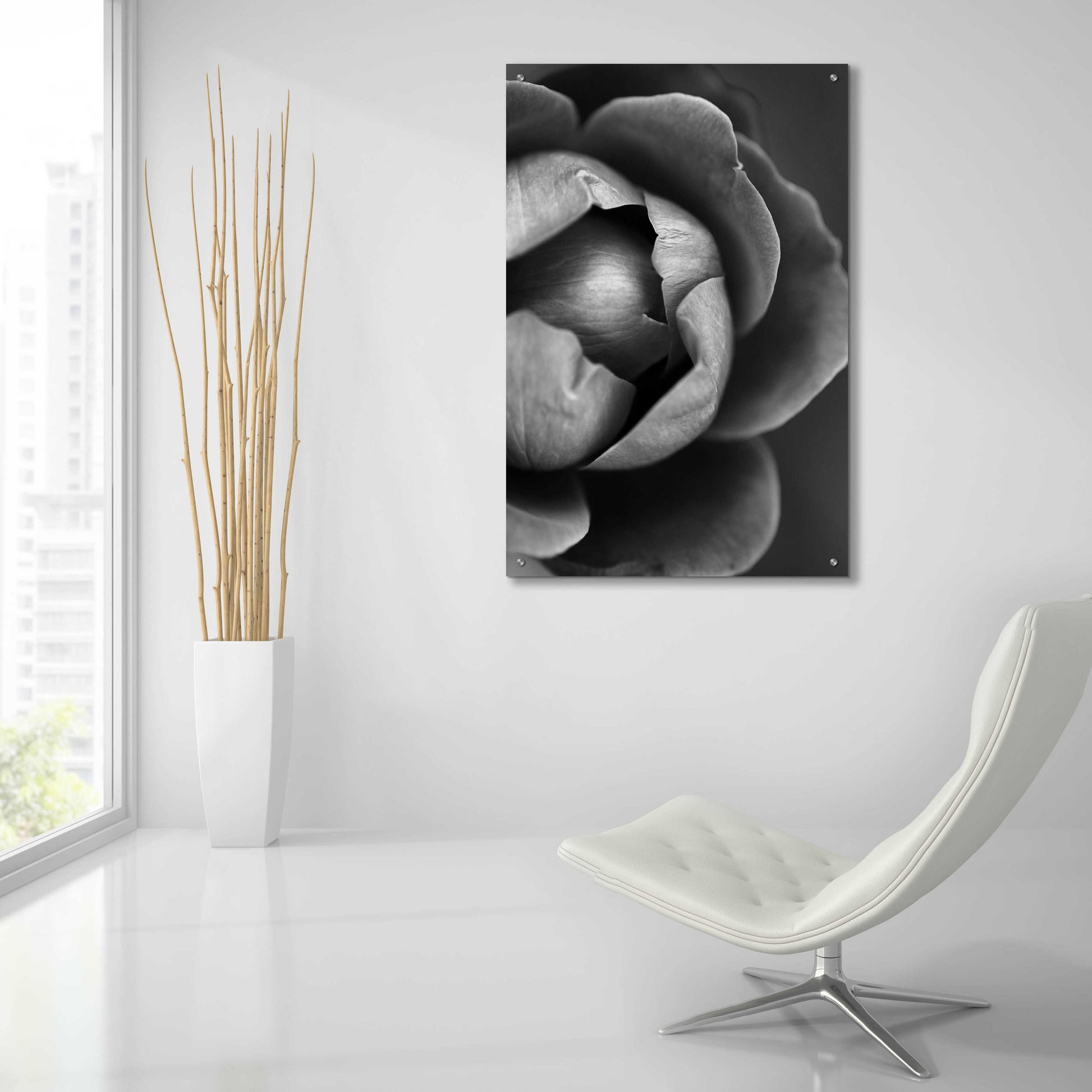 Epic Art 'Flower Bloom' by Incado, Acrylic Glass Wall Art,24x36