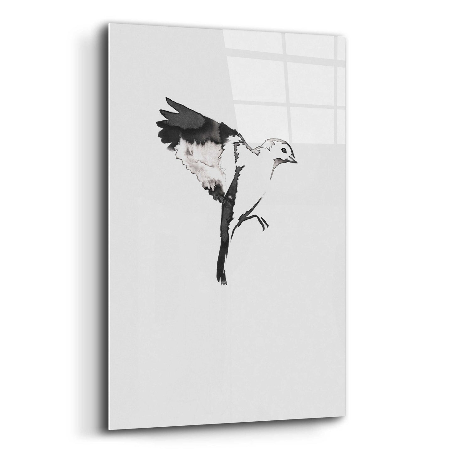 Epic Art 'Flying Bird I' by Incado, Acrylic Glass Wall Art,12x16