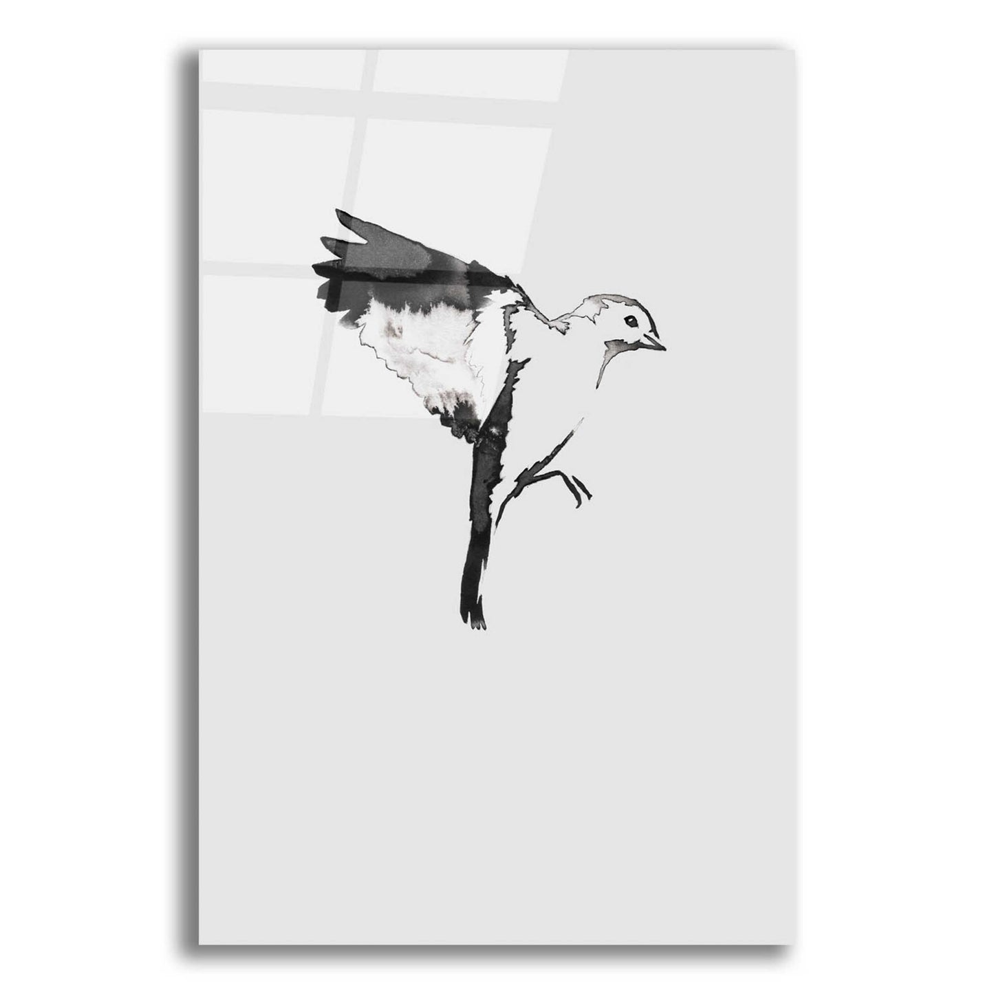 Epic Art 'Flying Bird I' by Incado, Acrylic Glass Wall Art