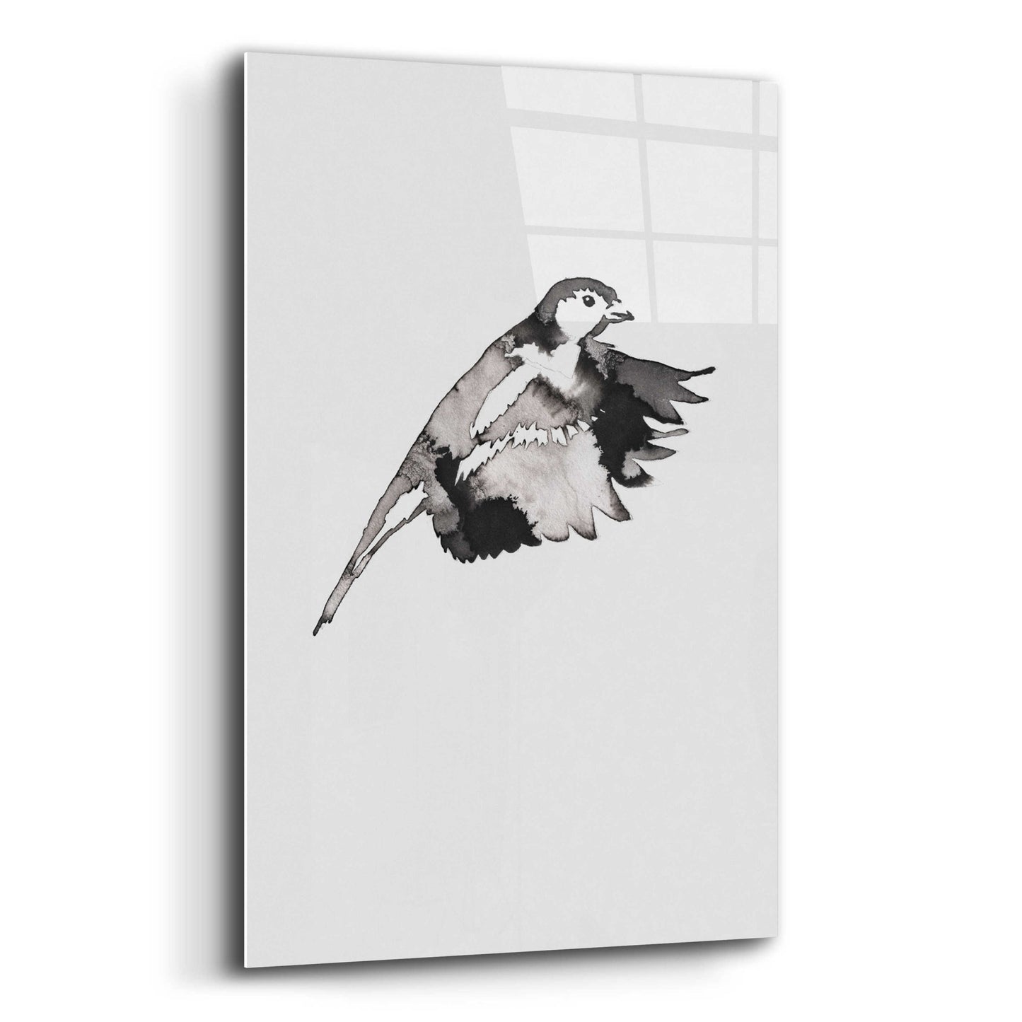 Epic Art 'Flying Bird II' by Incado, Acrylic Glass Wall Art,12x16