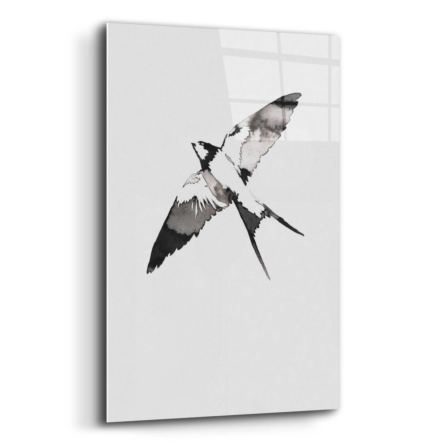 Epic Art 'Flying Bird III' by Incado, Acrylic Glass Wall Art,12x16