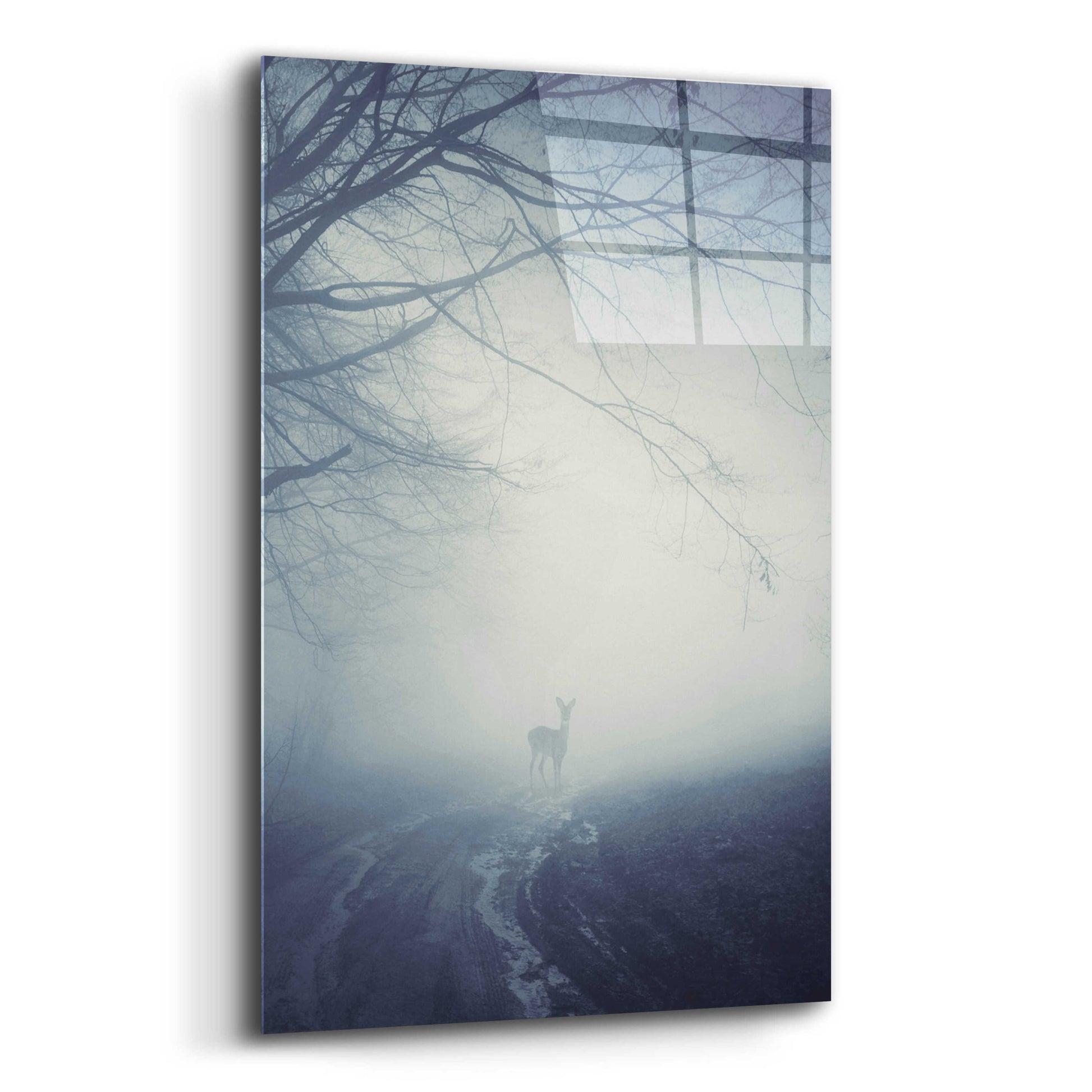 Epic Art 'Foggy Morning Hike' by Incado, Acrylic Glass Wall Art,12x16