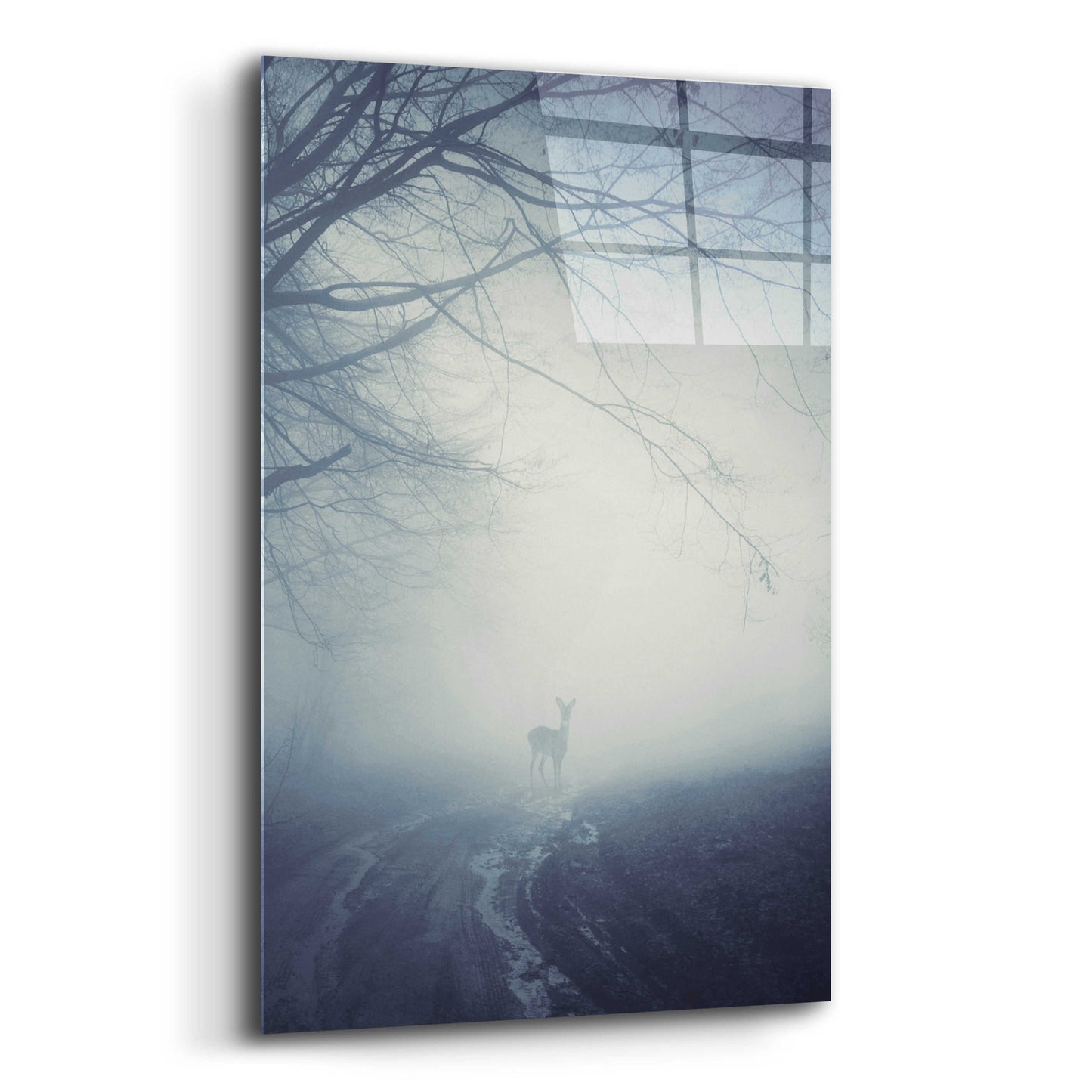 Epic Art 'Foggy Morning Hike' by Incado, Acrylic Glass Wall Art,16x24