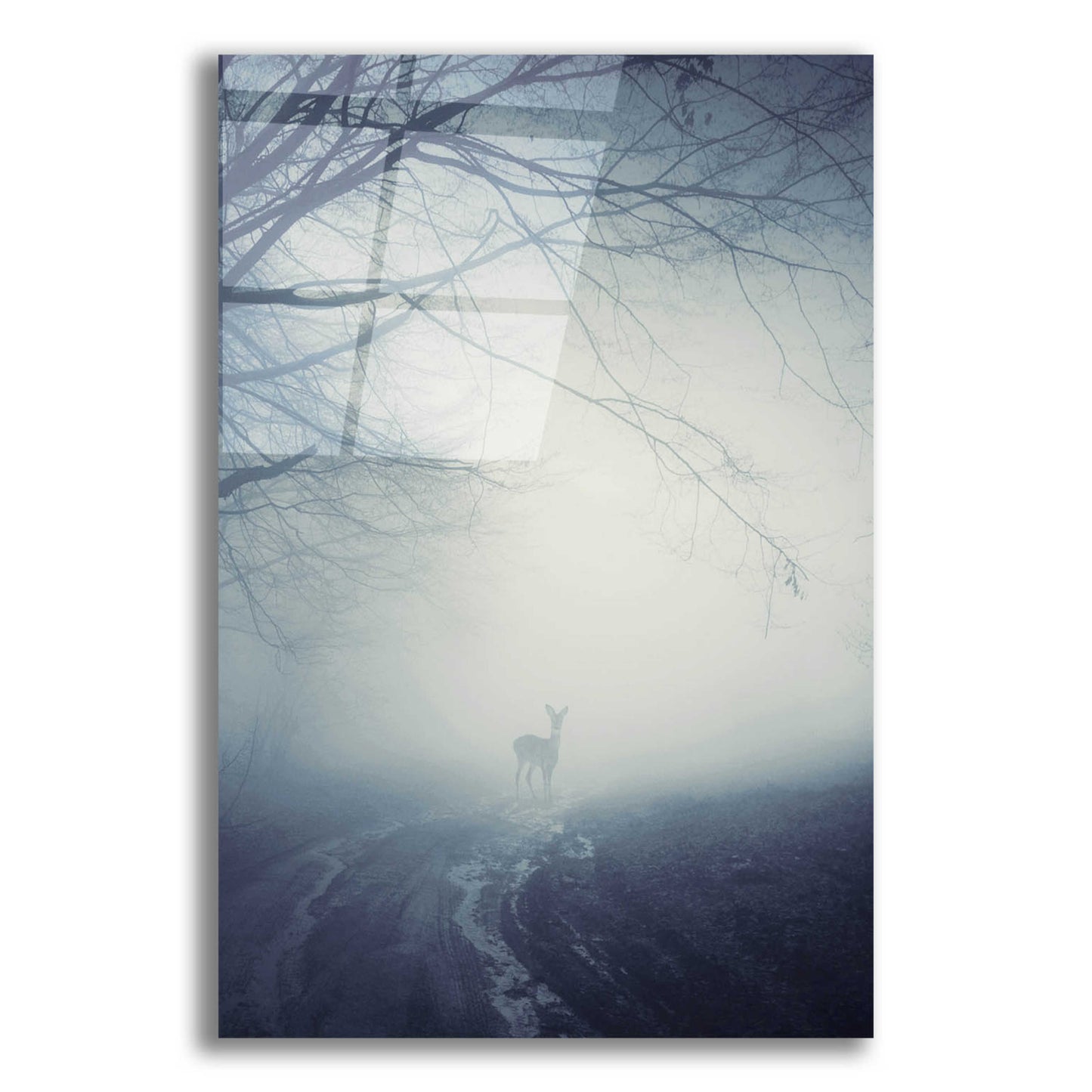 Epic Art 'Foggy Morning Hike' by Incado, Acrylic Glass Wall Art