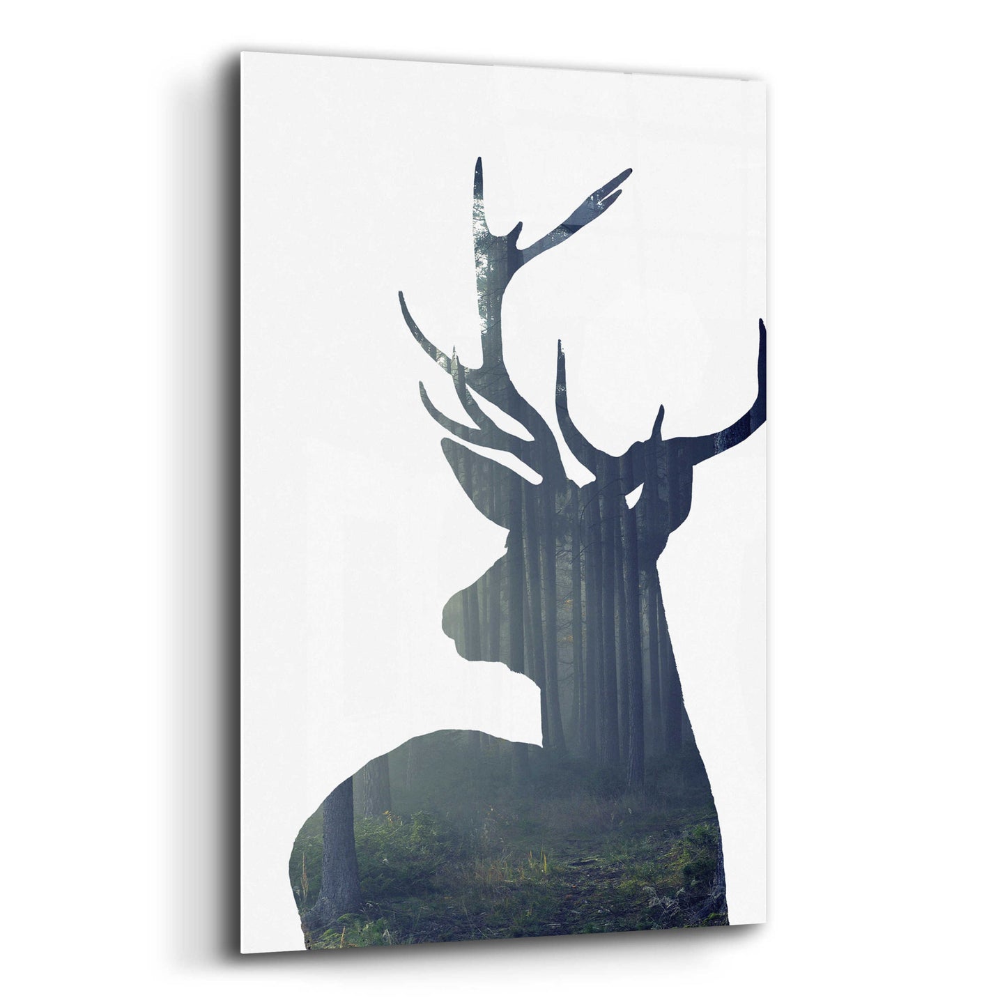 Epic Art 'Forest Deer Silhouette' by Incado, Acrylic Glass Wall Art,12x16