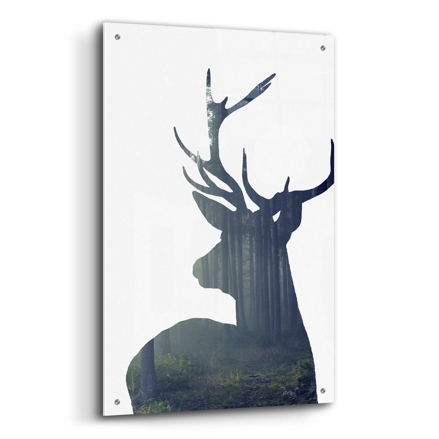 Epic Art 'Forest Deer Silhouette' by Incado, Acrylic Glass Wall Art,24x36