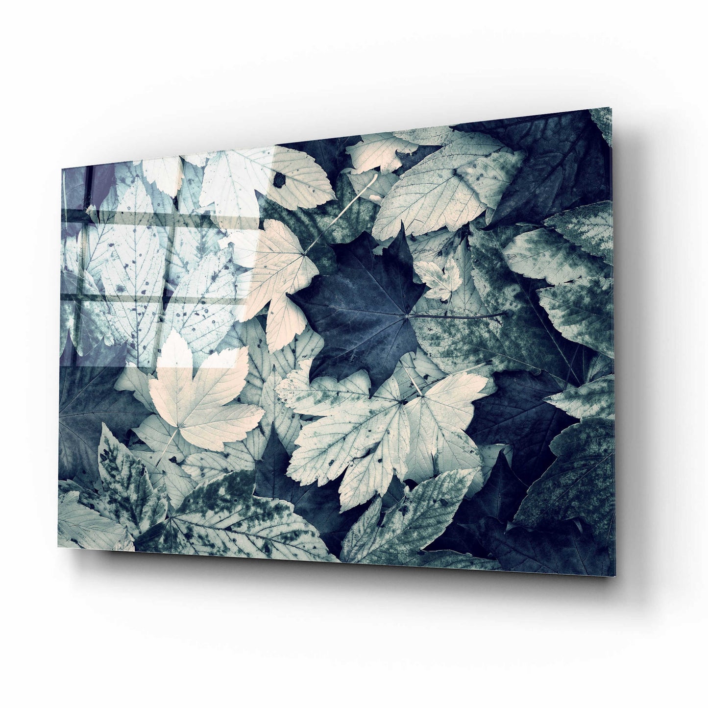 Epic Art 'Forest Floor' by Incado, Acrylic Glass Wall Art,16x12