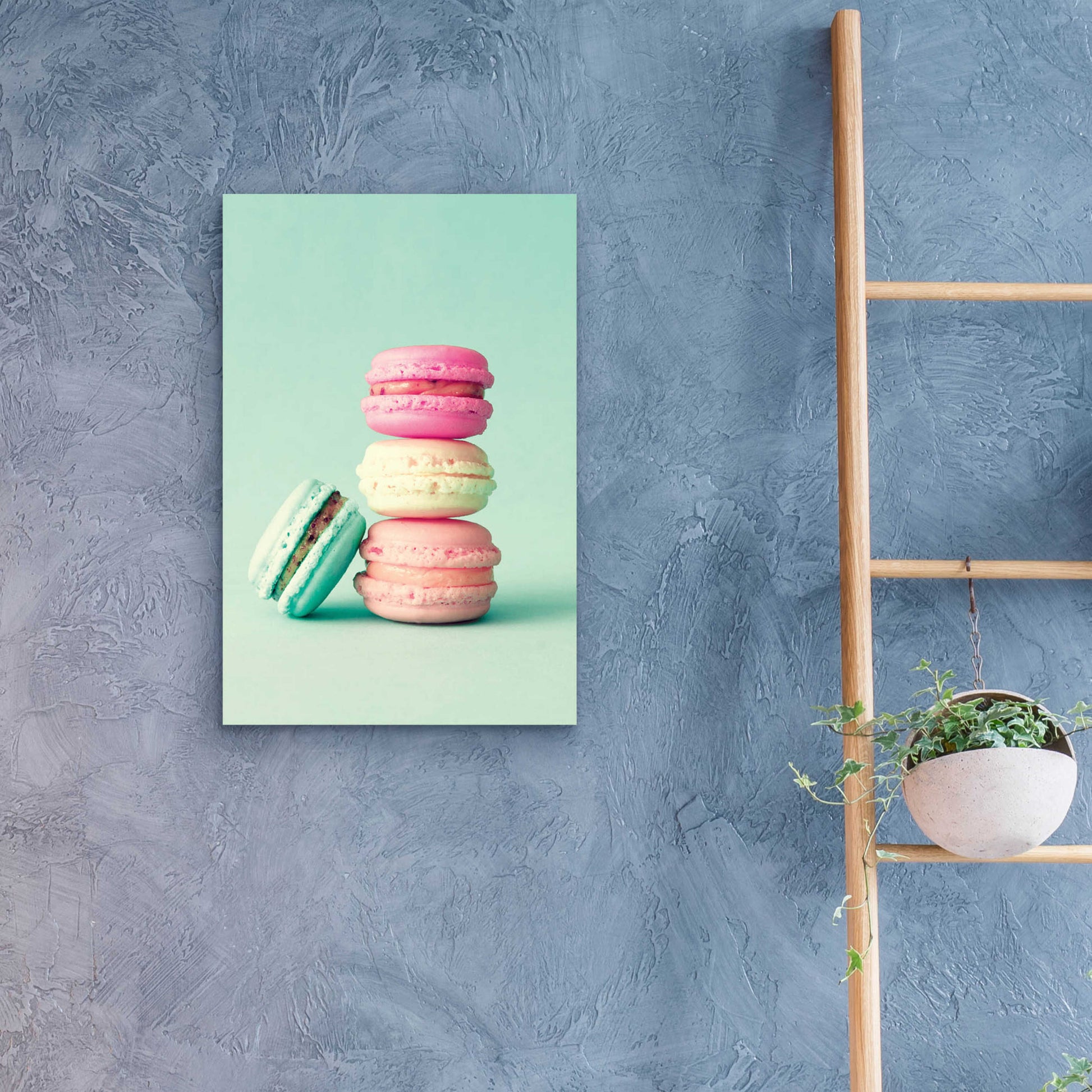 Epic Art 'French Macarons' by Incado, Acrylic Glass Wall Art,16x24