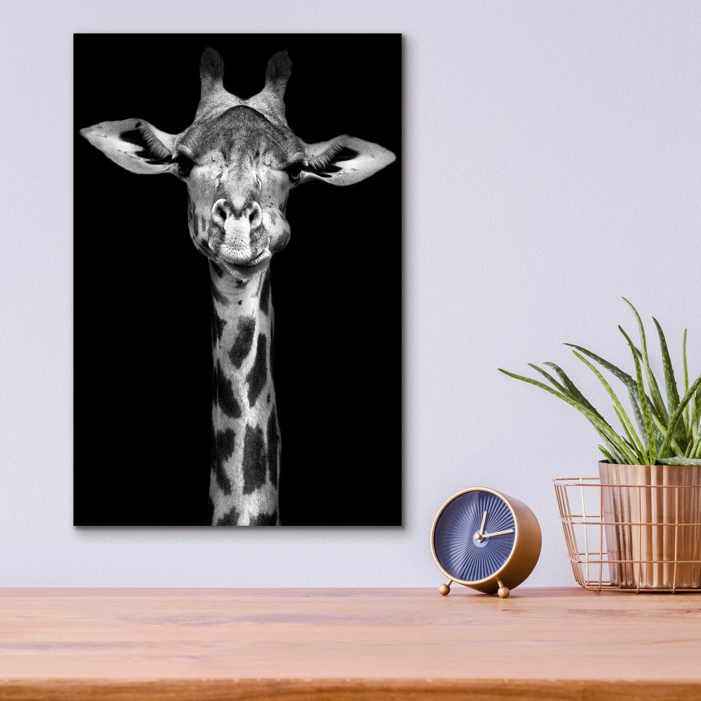 Epic Art 'Giraffe' by Incado, Acrylic Glass Wall Art,12x16