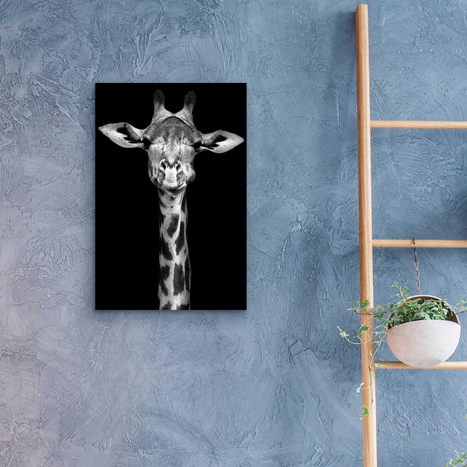 Epic Art 'Giraffe' by Incado, Acrylic Glass Wall Art,16x24