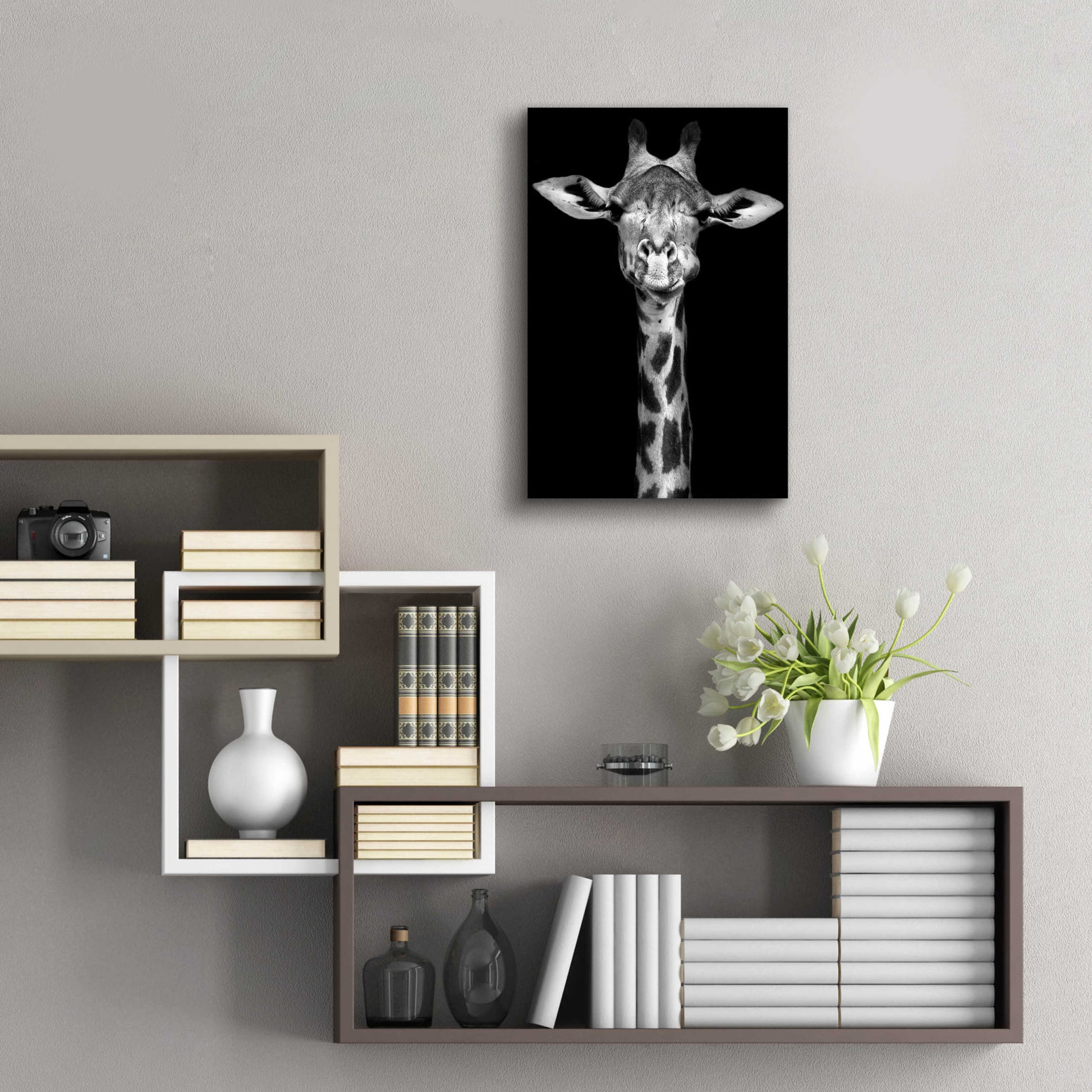 Epic Art 'Giraffe' by Incado, Acrylic Glass Wall Art,16x24