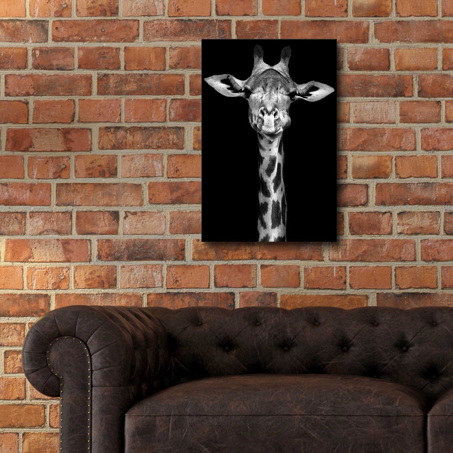 Epic Art 'Giraffe' by Incado, Acrylic Glass Wall Art,16x24