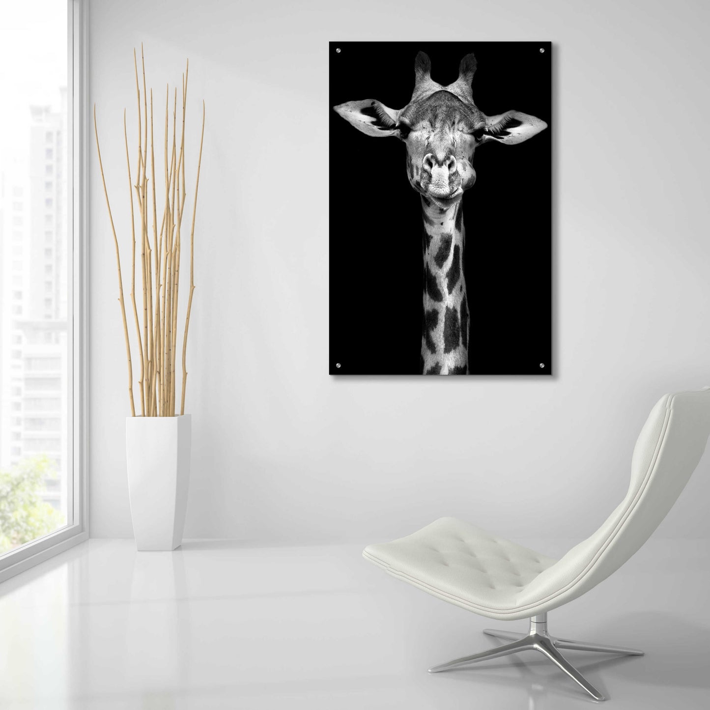 Epic Art 'Giraffe' by Incado, Acrylic Glass Wall Art,24x36