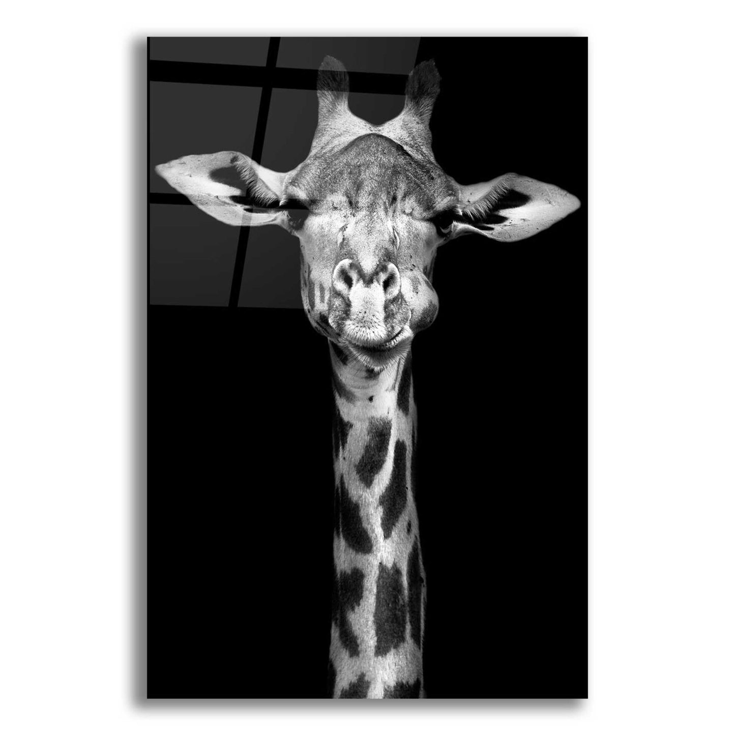 Epic Art 'Giraffe' by Incado, Acrylic Glass Wall Art