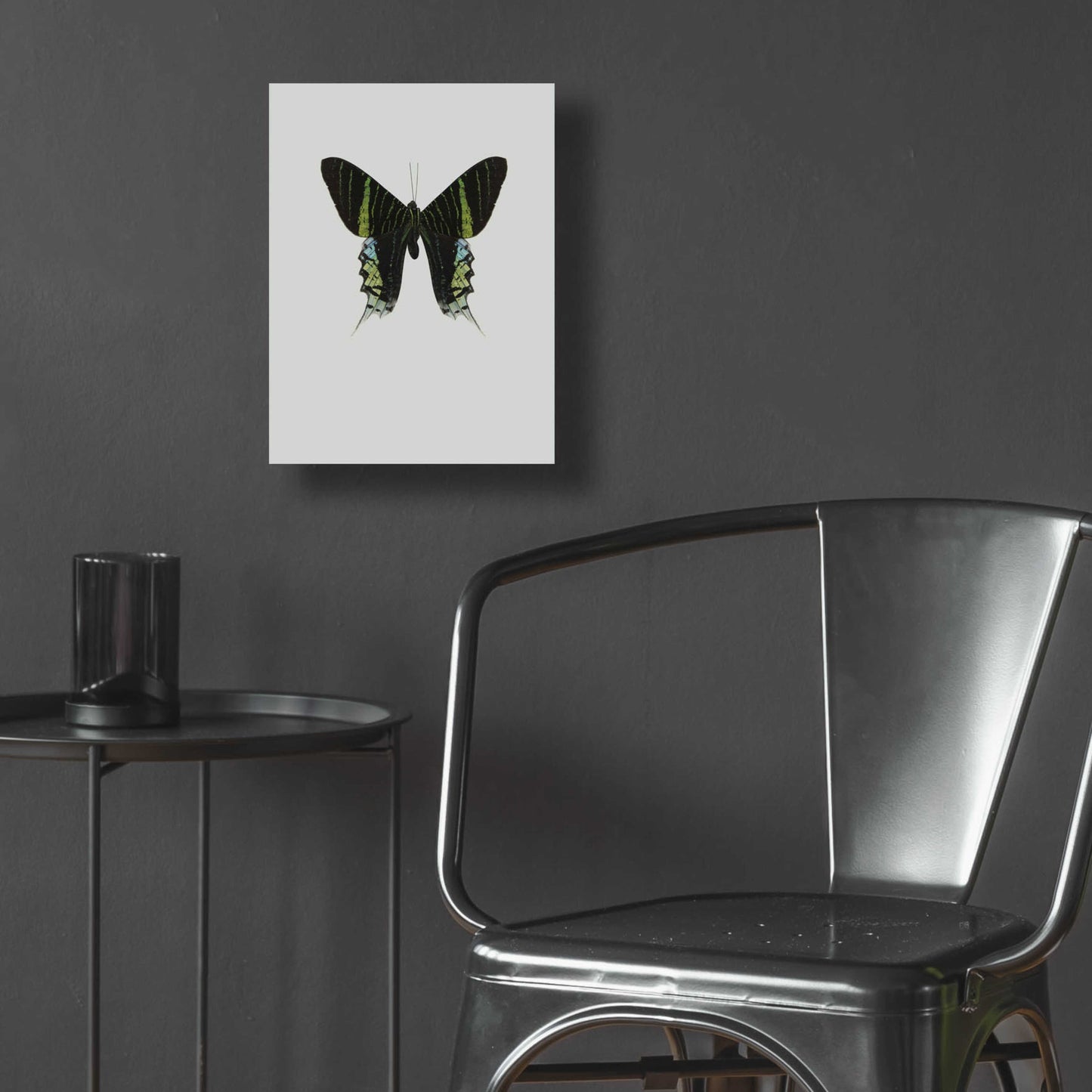 Epic Art 'Green Butterfly' by Incado, Acrylic Glass Wall Art,12x16