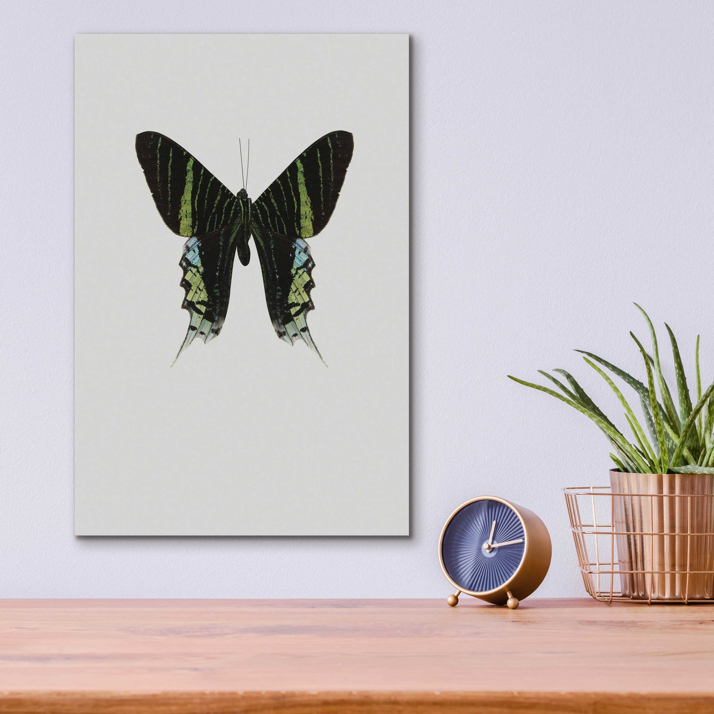 Epic Art 'Green Butterfly' by Incado, Acrylic Glass Wall Art,12x16