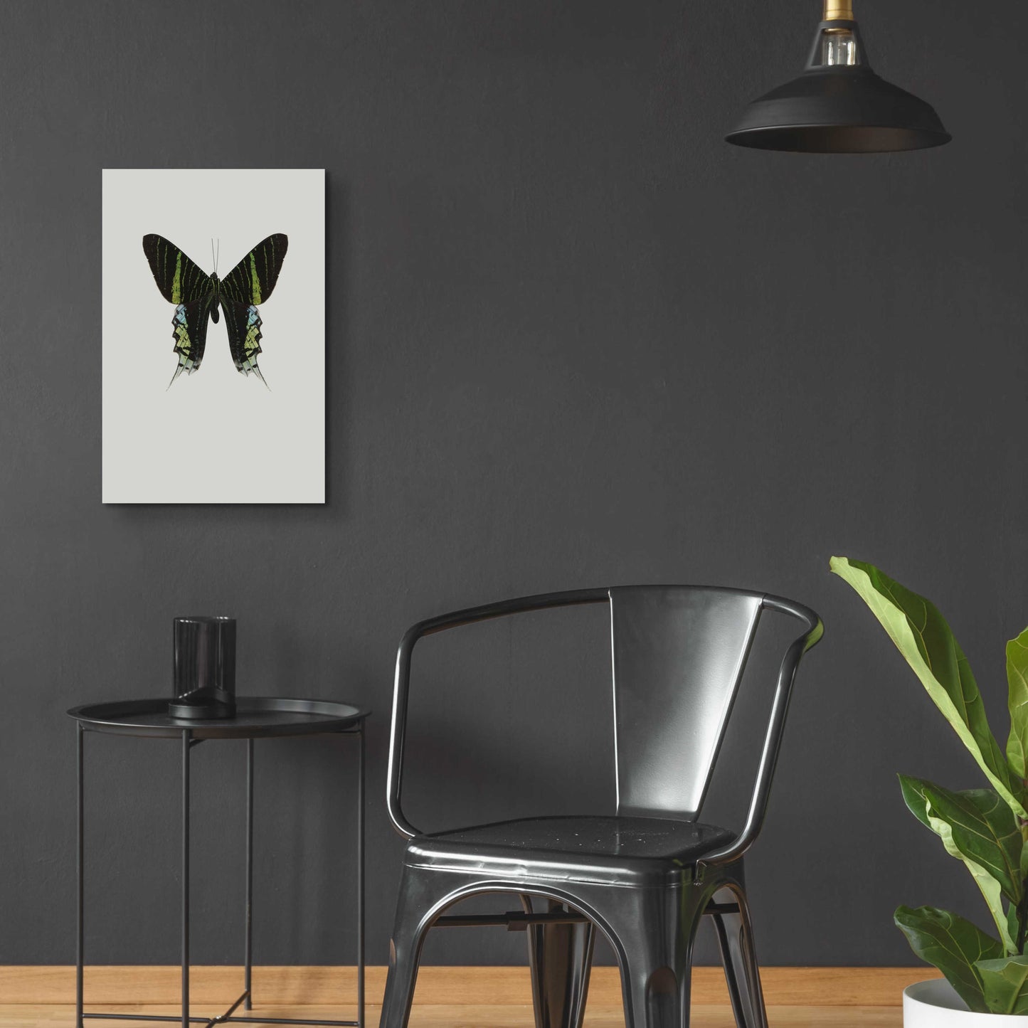 Epic Art 'Green Butterfly' by Incado, Acrylic Glass Wall Art,16x24