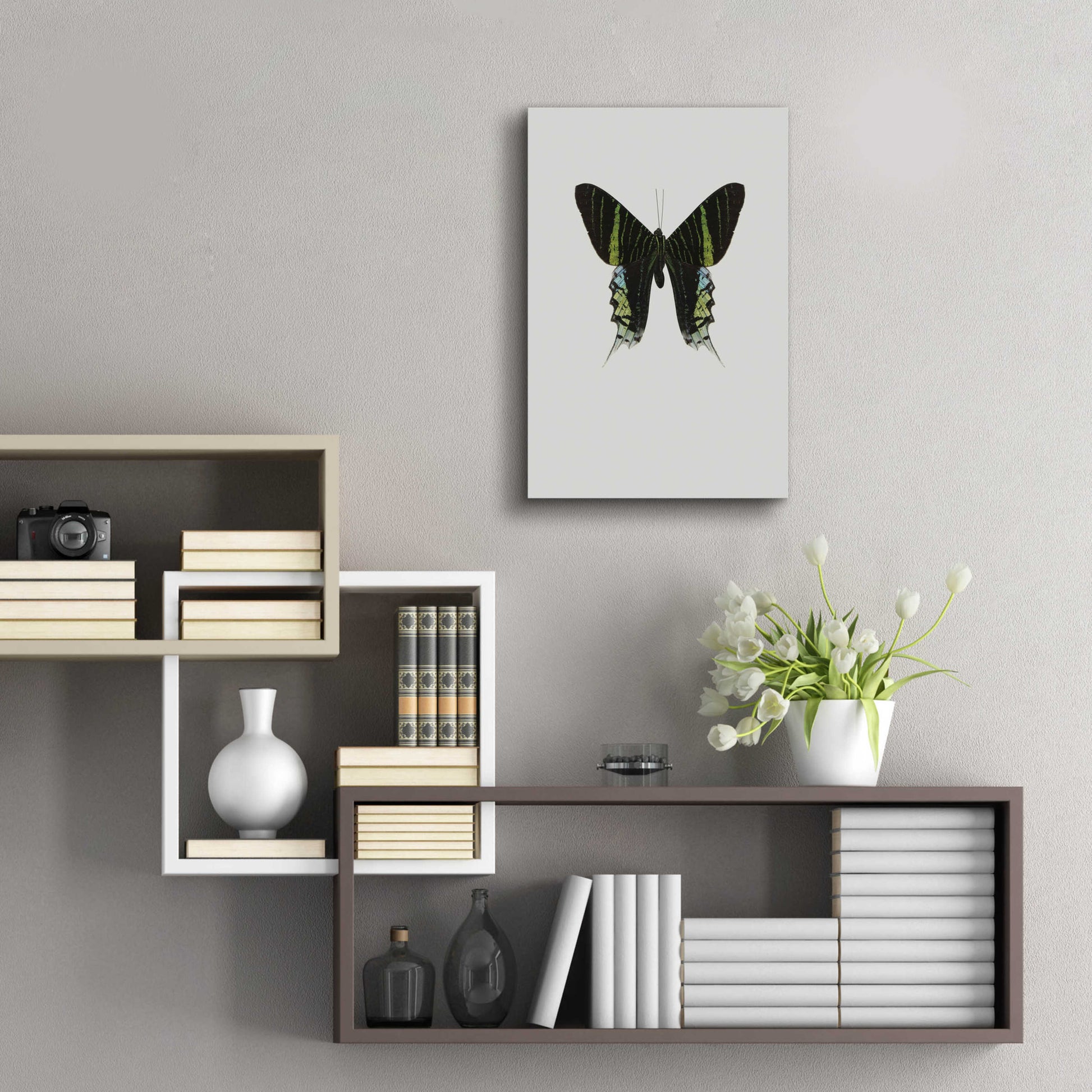 Epic Art 'Green Butterfly' by Incado, Acrylic Glass Wall Art,16x24