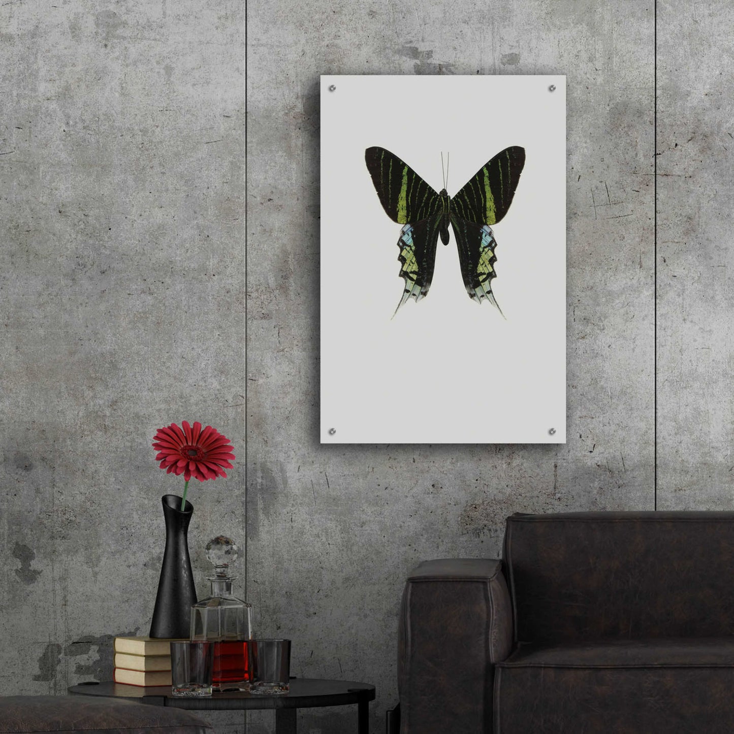 Epic Art 'Green Butterfly' by Incado, Acrylic Glass Wall Art,24x36